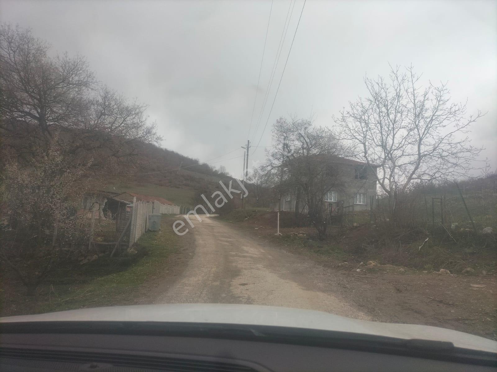 Boyun Kaya Köyü Alıç Yaylasında Her İşe Uygun 4.500 M2 Arazi.. — fotoğraf 13