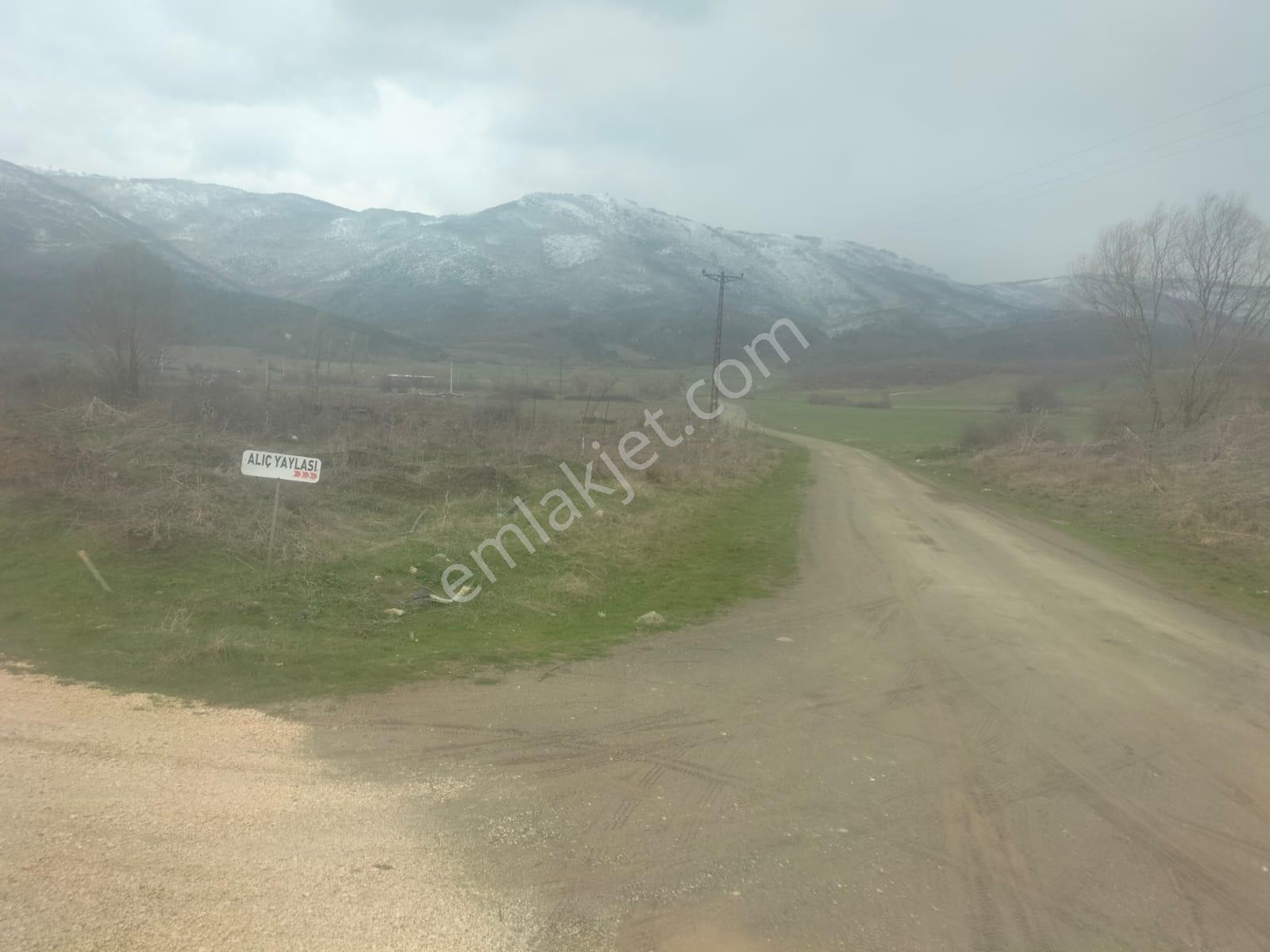 Boyun Kaya Köyü Alıç Yaylasında Her İşe Uygun 4.500 M2 Arazi.. — fotoğraf 14