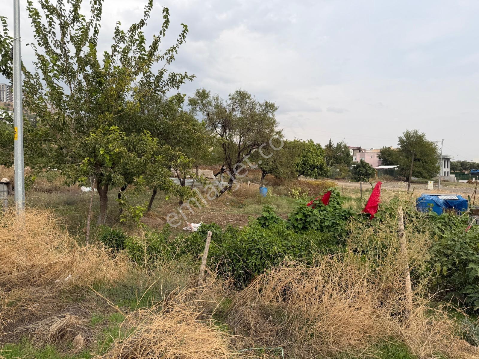 Germenicia'dan Satılık Ağcalıda Konut Arsası — fotoğraf 6