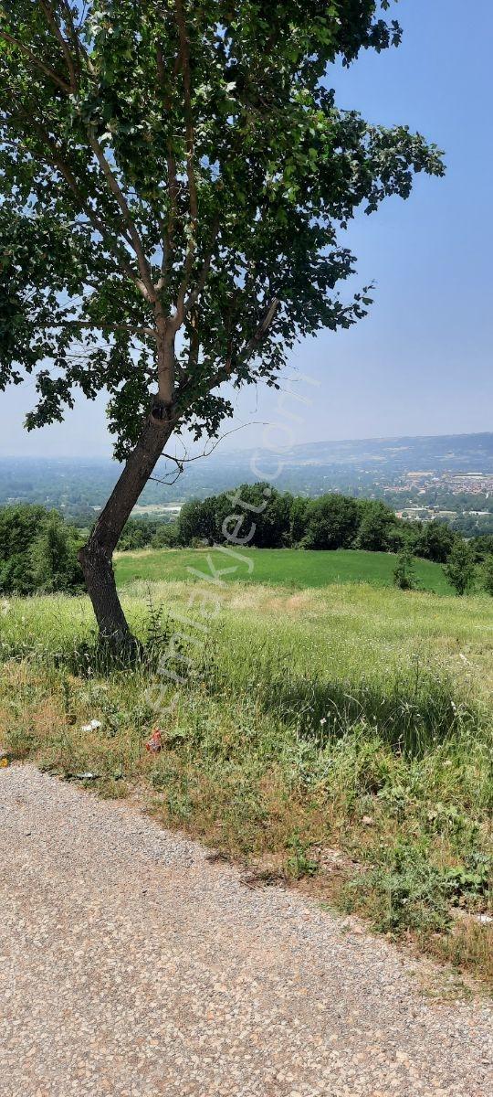 Geleceğin Termal Hattında! Yatırımcısına Kazandıracak Ticari Yer — fotoğraf 12