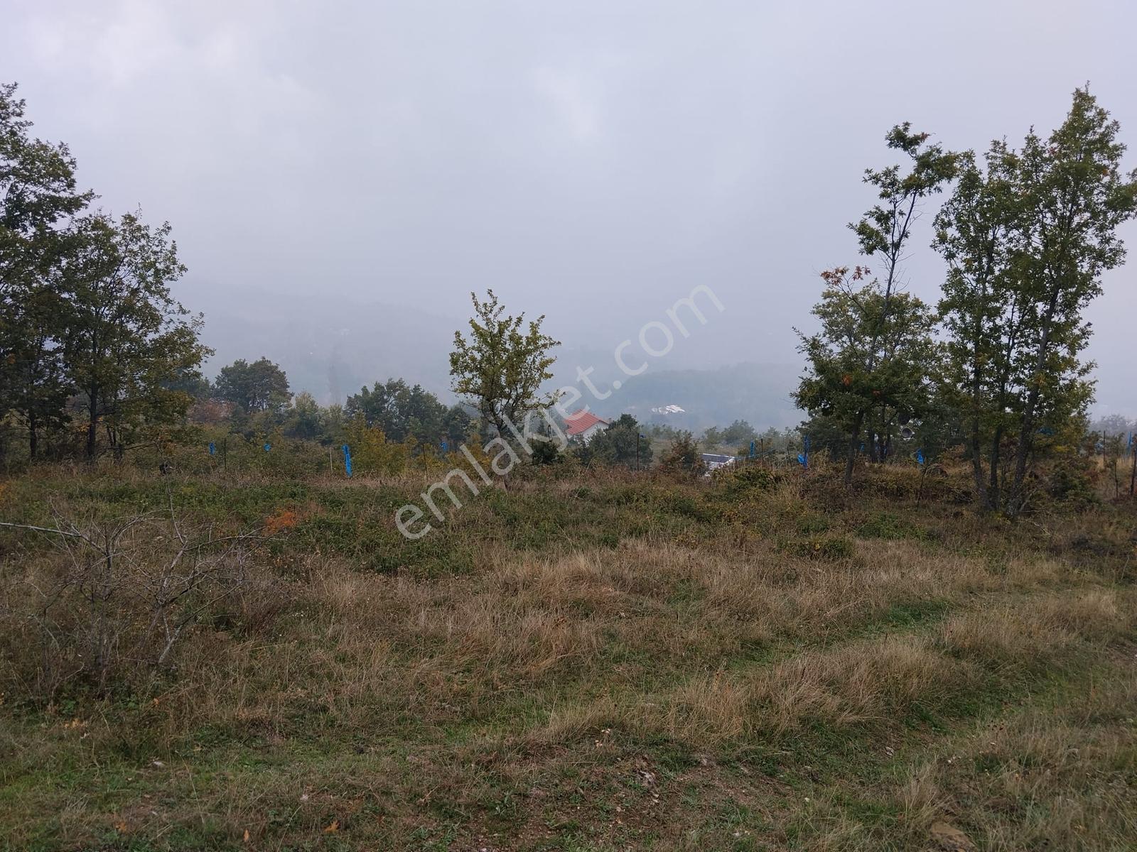 Remax Desıgn Geyve Melekşeoruçta Satılık Tarla