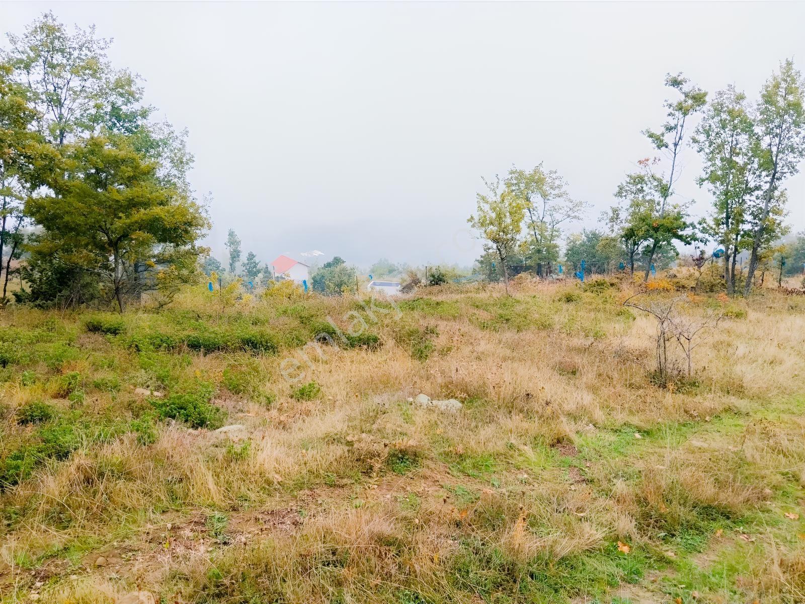 Remax Desıgn Geyve Melekşeoruçta Satılık Tarla — fotoğraf 3
