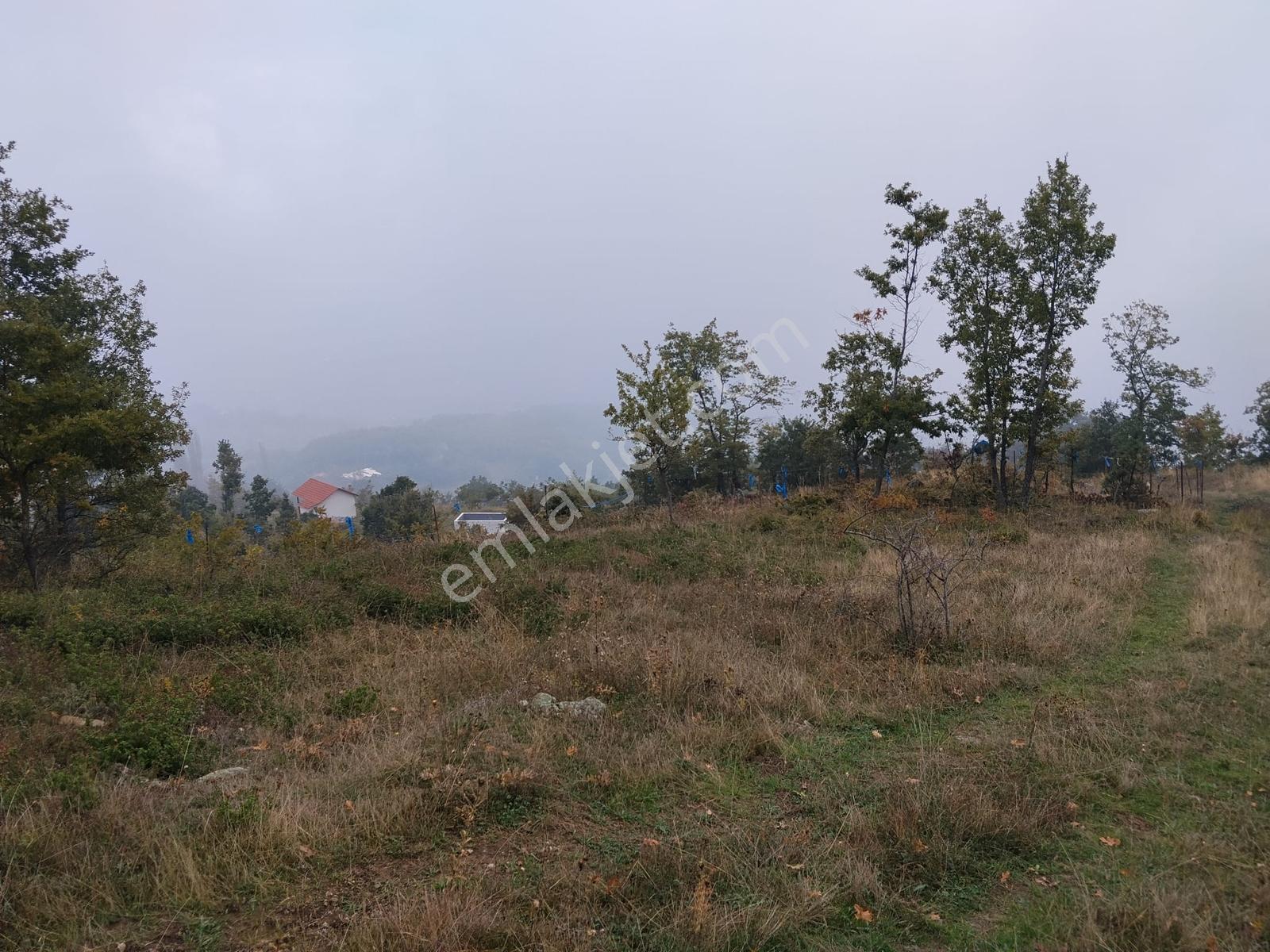 Remax Desıgn Geyve Melekşeoruçta Satılık Tarla — fotoğraf 5