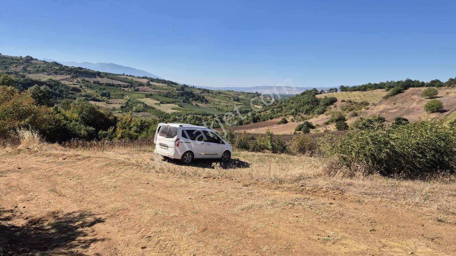 Hamamlı Mahallesine Bağlı 3 Bin M2 Uygun Fiyatlı Arazi
