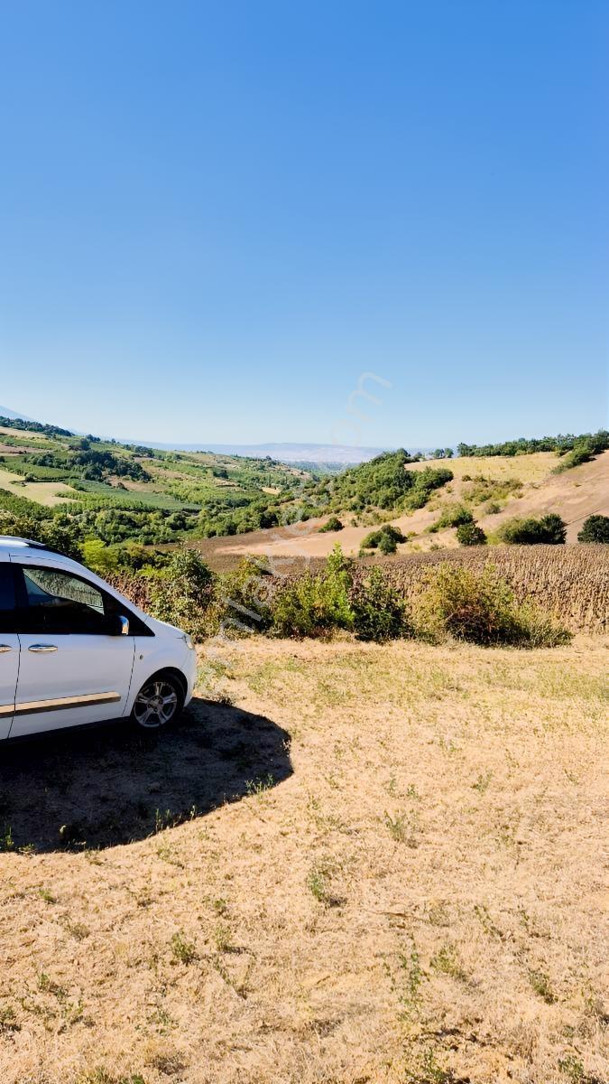 Hamamlı Mahallesine Bağlı 3 Bin M2 Uygun Fiyatlı Arazi — fotoğraf 2