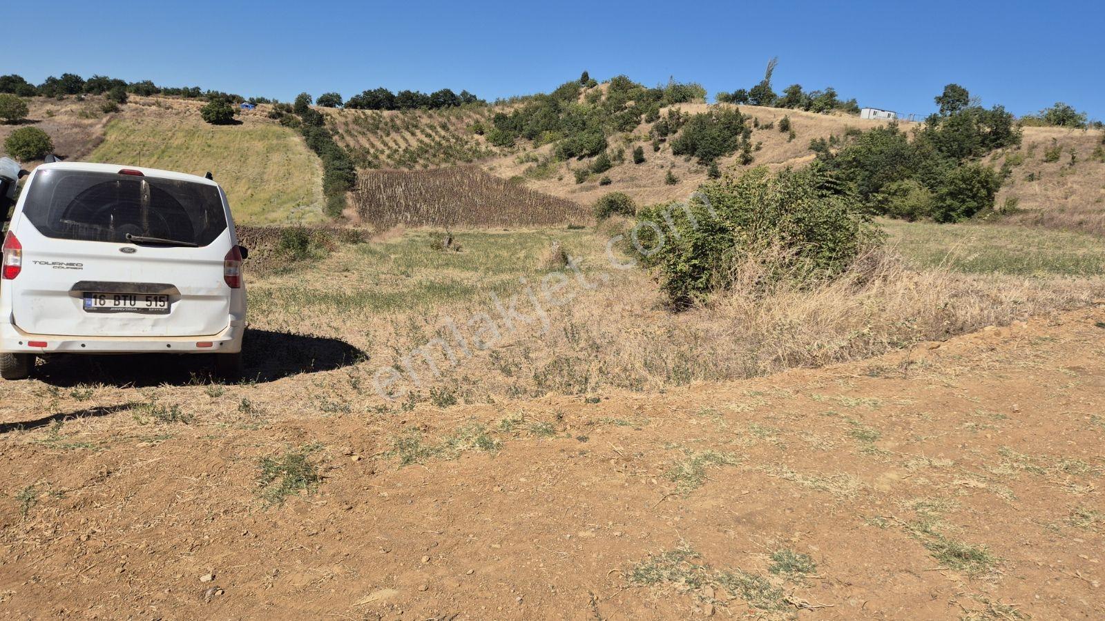 Hamamlı Mahallesine Bağlı 3 Bin M2 Uygun Fiyatlı Arazi — fotoğraf 3