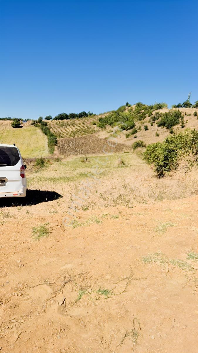 Hamamlı Mahallesine Bağlı 3 Bin M2 Uygun Fiyatlı Arazi — fotoğraf 4