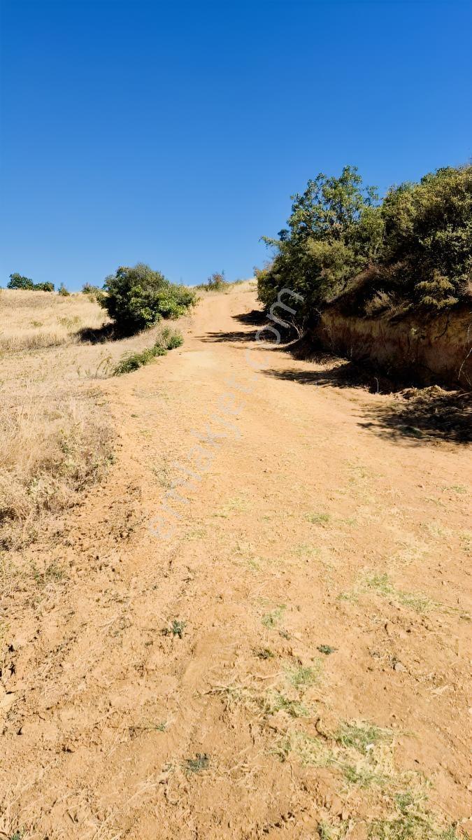Hamamlı Mahallesine Bağlı 3 Bin M2 Uygun Fiyatlı Arazi — fotoğraf 5
