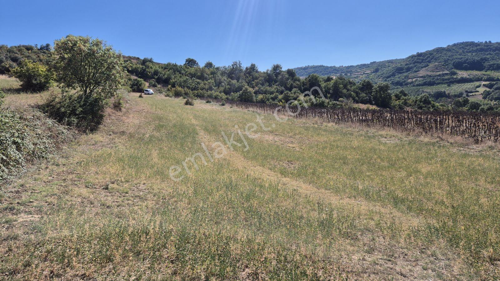 Hamamlı Mahallesine Bağlı 3 Bin M2 Uygun Fiyatlı Arazi — fotoğraf 8