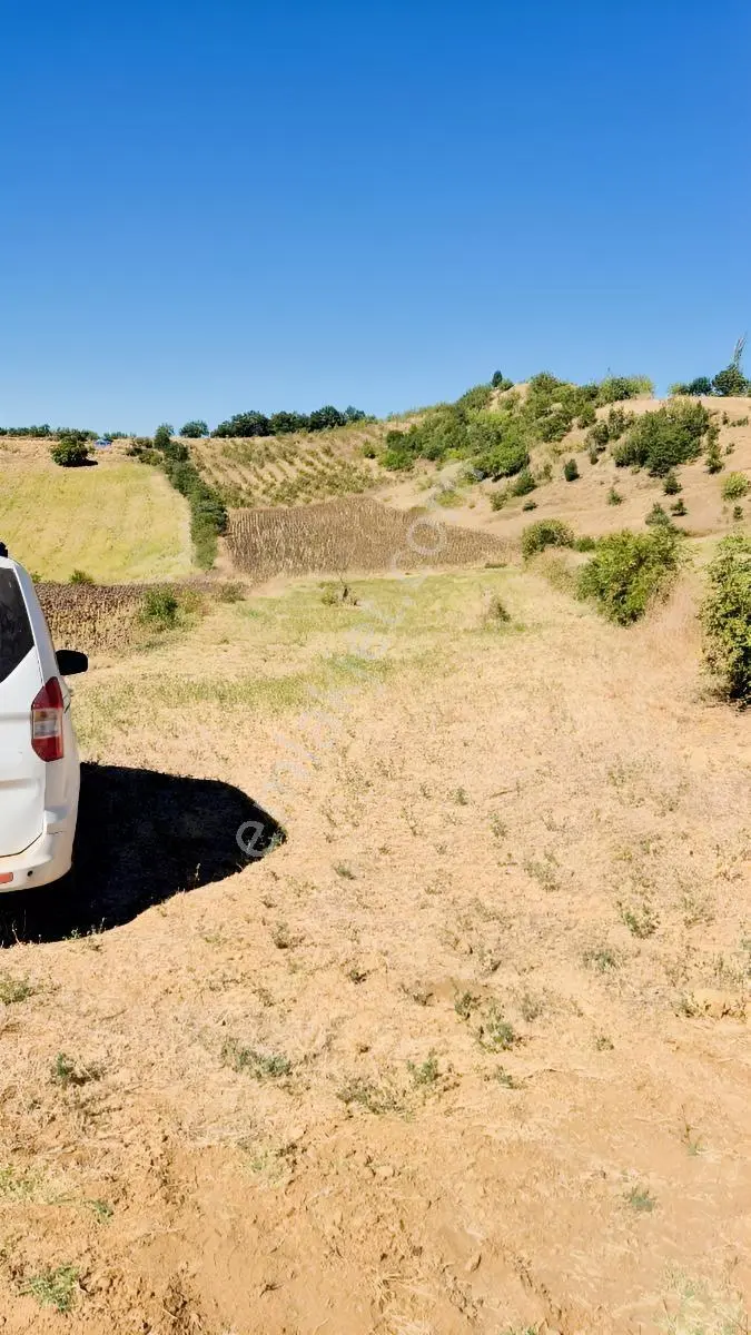 Hamamlı Mahallesine Bağlı 3 Bin M2 Uygun Fiyatlı Arazi — fotoğraf 11