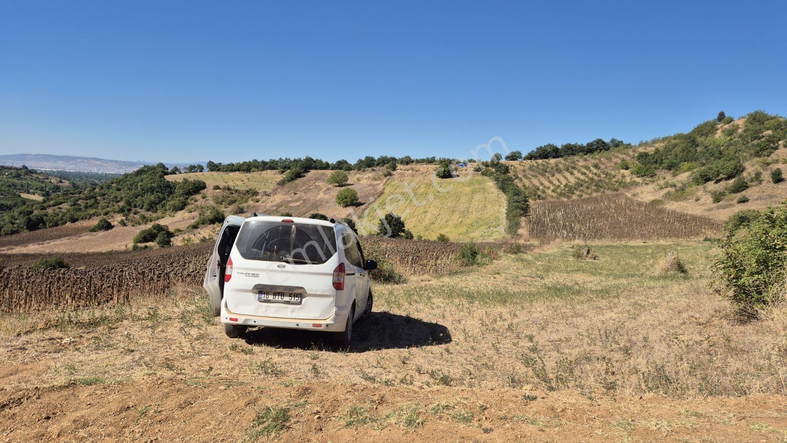 Hamamlı Mahallesine Bağlı 3 Bin M2 Uygun Fiyatlı Arazi — fotoğraf 12