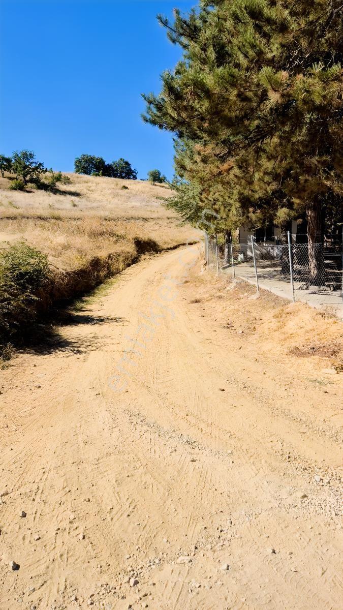 Hamamlı Mahallesine Bağlı 3 Bin M2 Uygun Fiyatlı Arazi — fotoğraf 14