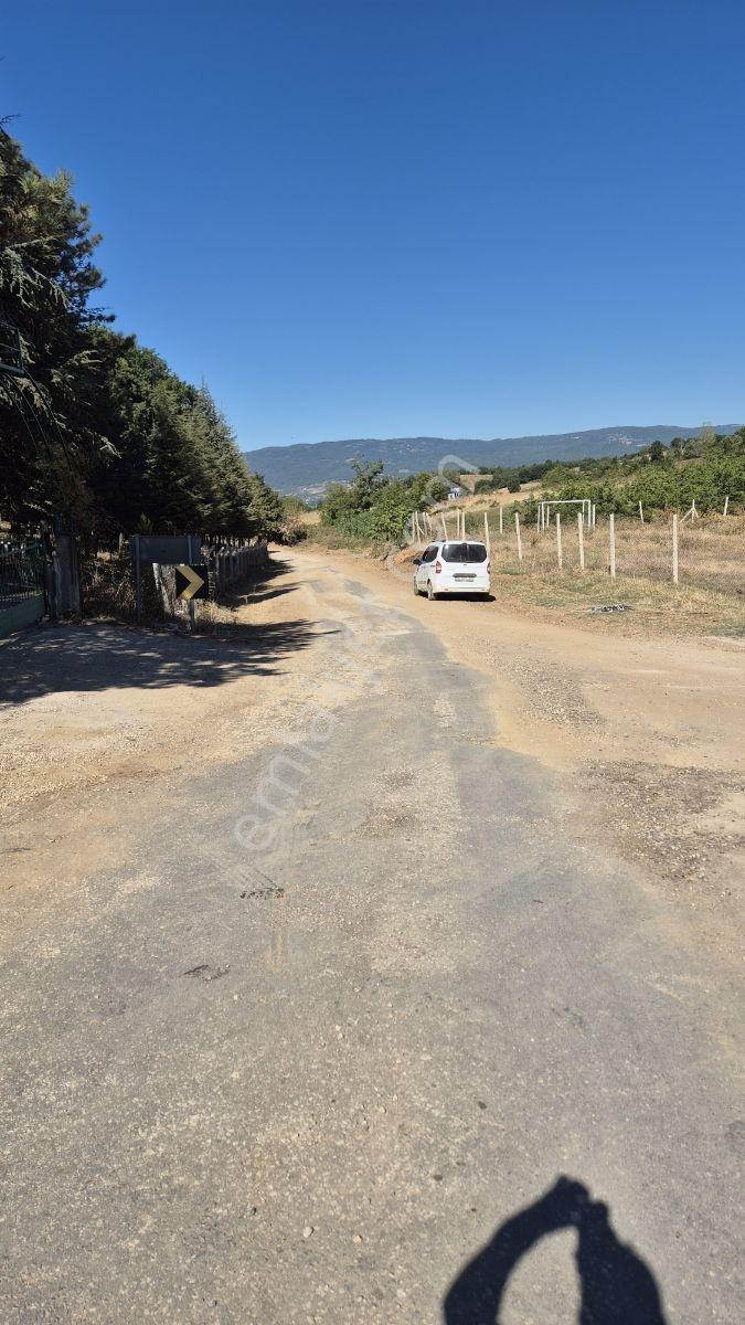Hamamlı Mahallesine Bağlı 3 Bin M2 Uygun Fiyatlı Arazi — fotoğraf 16