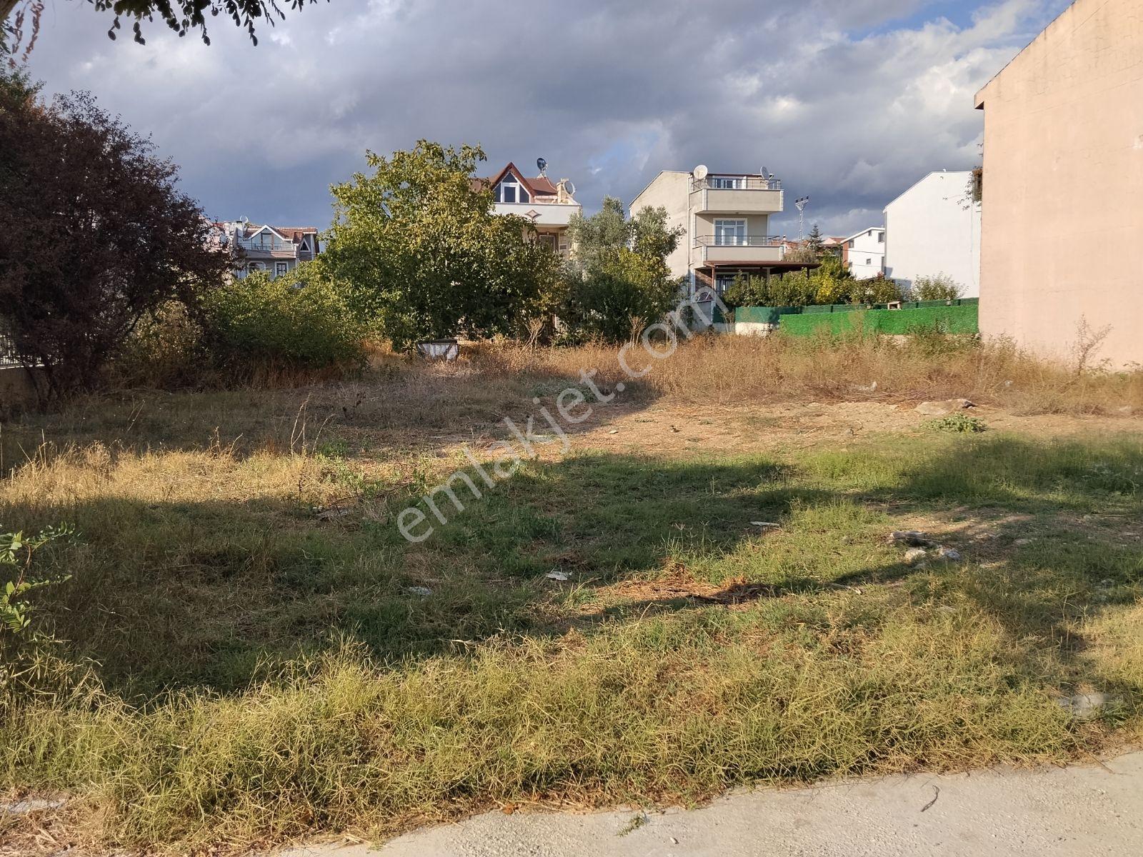 Çok Acil Satılık Çanta Balaban'da Elektrik Su Doğalgaz İçinde — fotoğraf 2