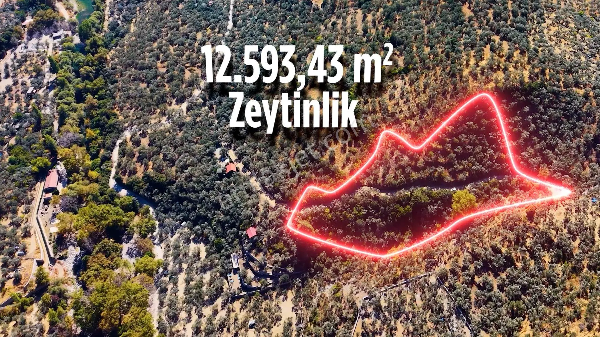 Re/max Marea’dan Satılık Zeytinlik | Altınoluk Değirmentepe — fotoğraf 5