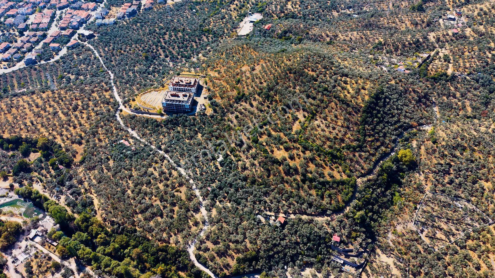 Re/max Marea’dan Satılık Zeytinlik | Altınoluk Değirmentepe — fotoğraf 8