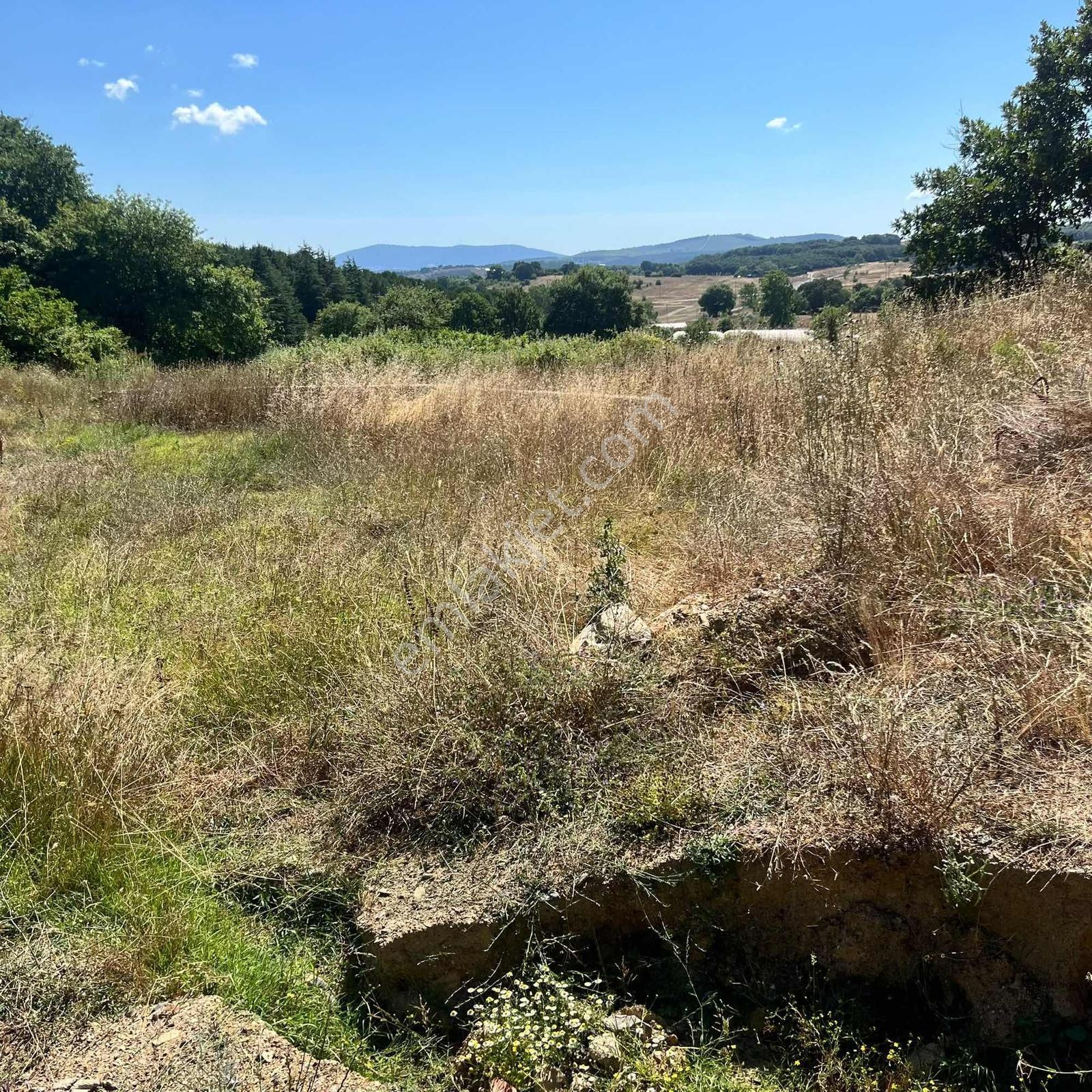 590 Mt Pendik Kurtdoğmuş Da Satılık Hisseli Yatırımlık Tarla