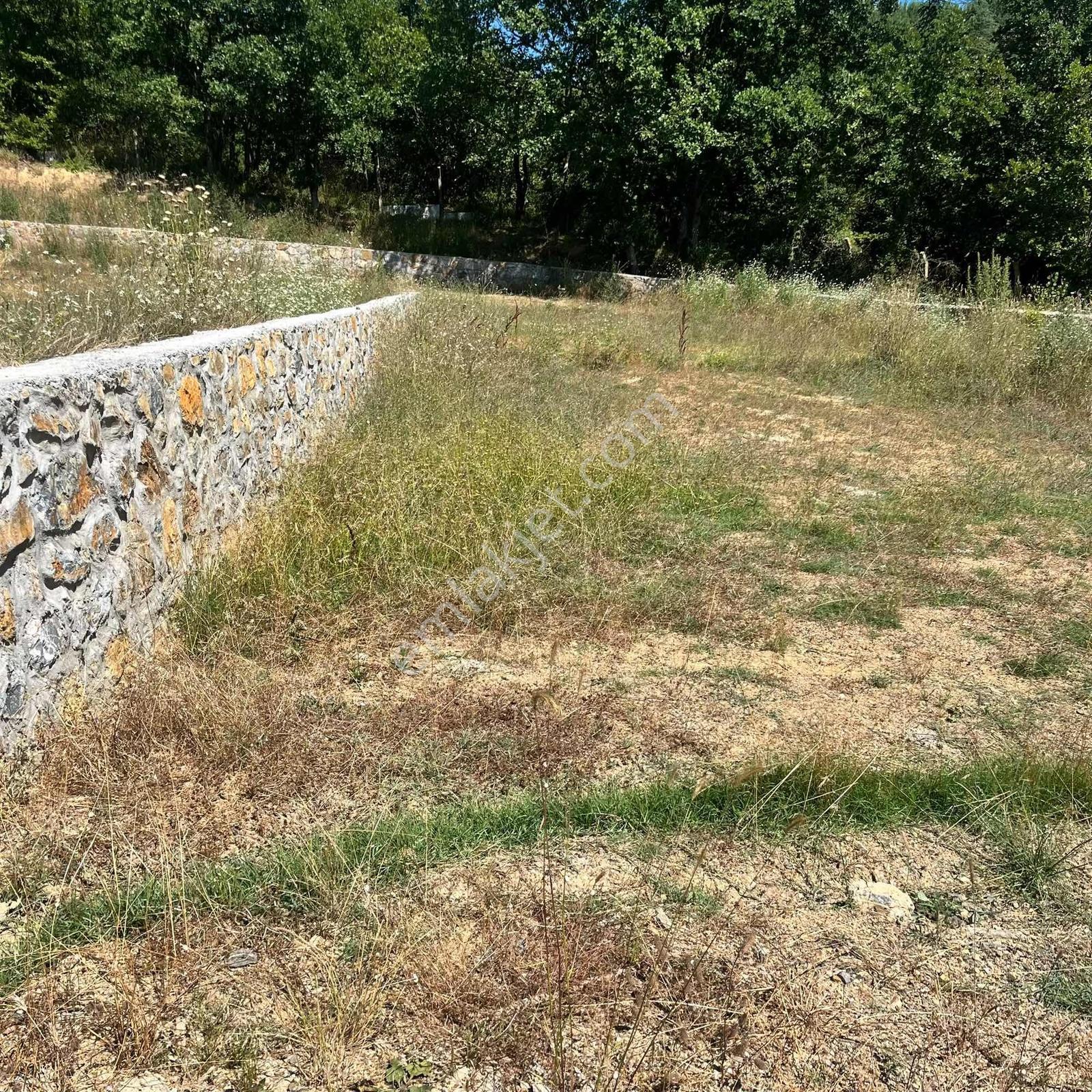590 Mt Pendik Kurtdoğmuş Da Satılık Hisseli Yatırımlık Tarla — fotoğraf 2