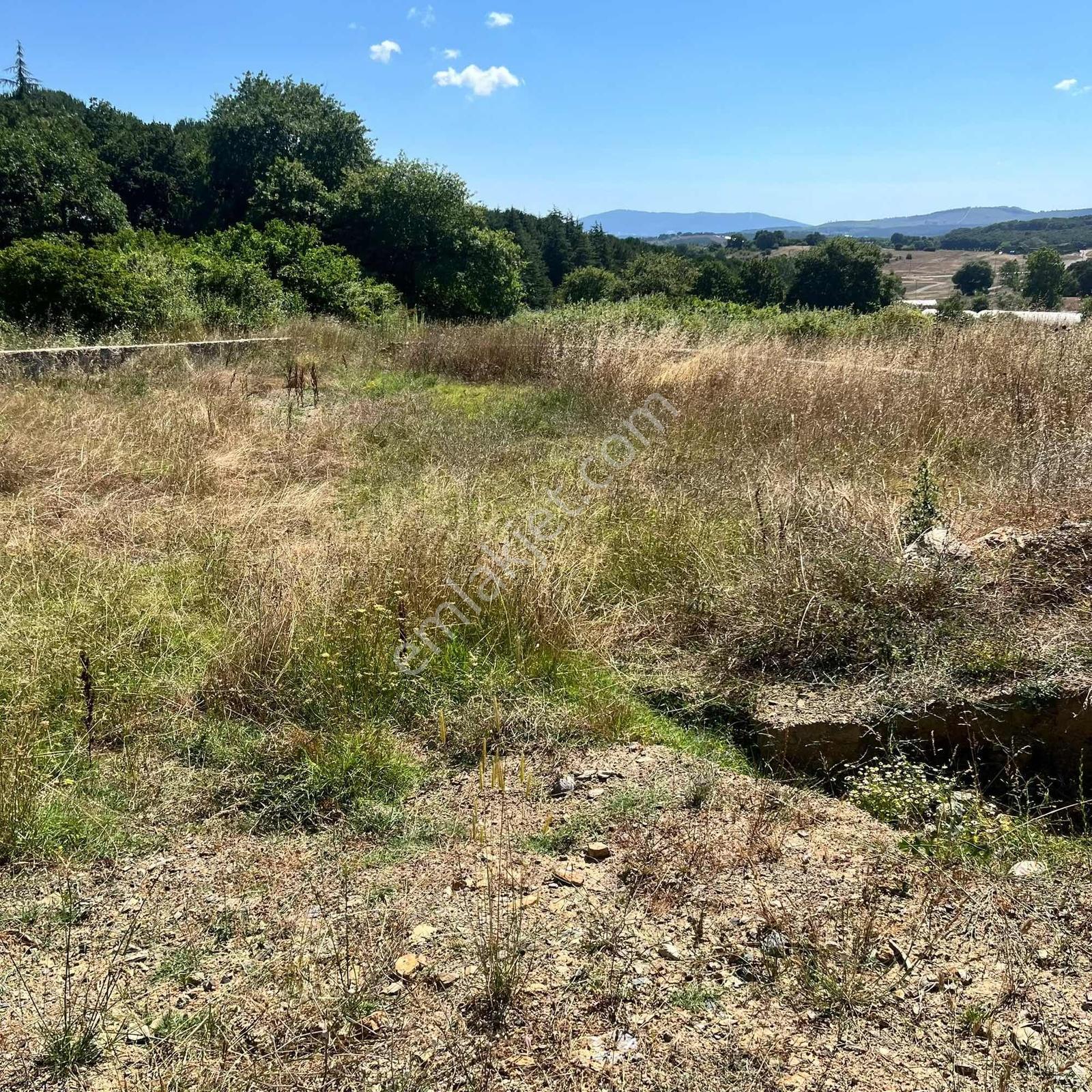 590 Mt Pendik Kurtdoğmuş Da Satılık Hisseli Yatırımlık Tarla — fotoğraf 3