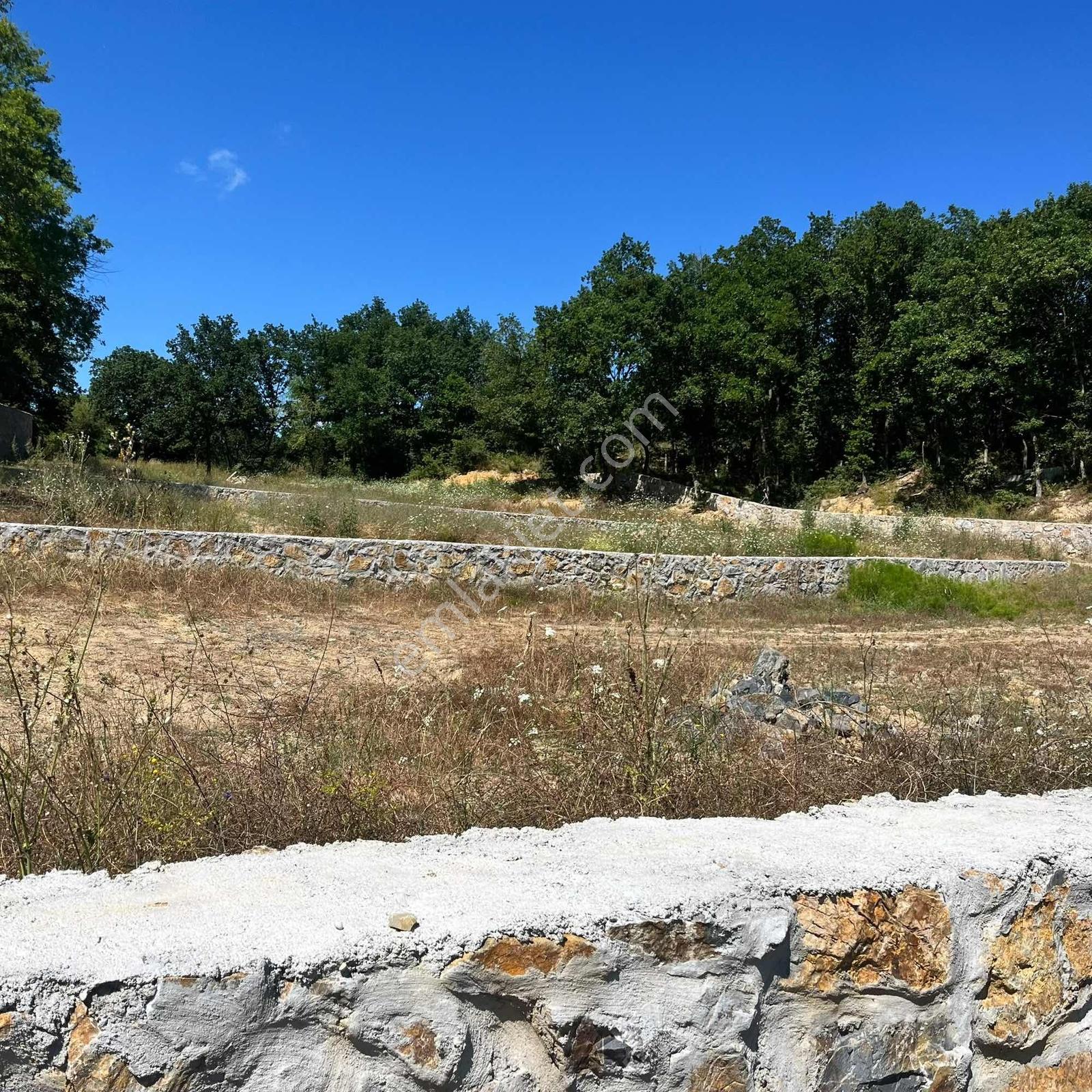 590 Mt Pendik Kurtdoğmuş Da Satılık Hisseli Yatırımlık Tarla — fotoğraf 4