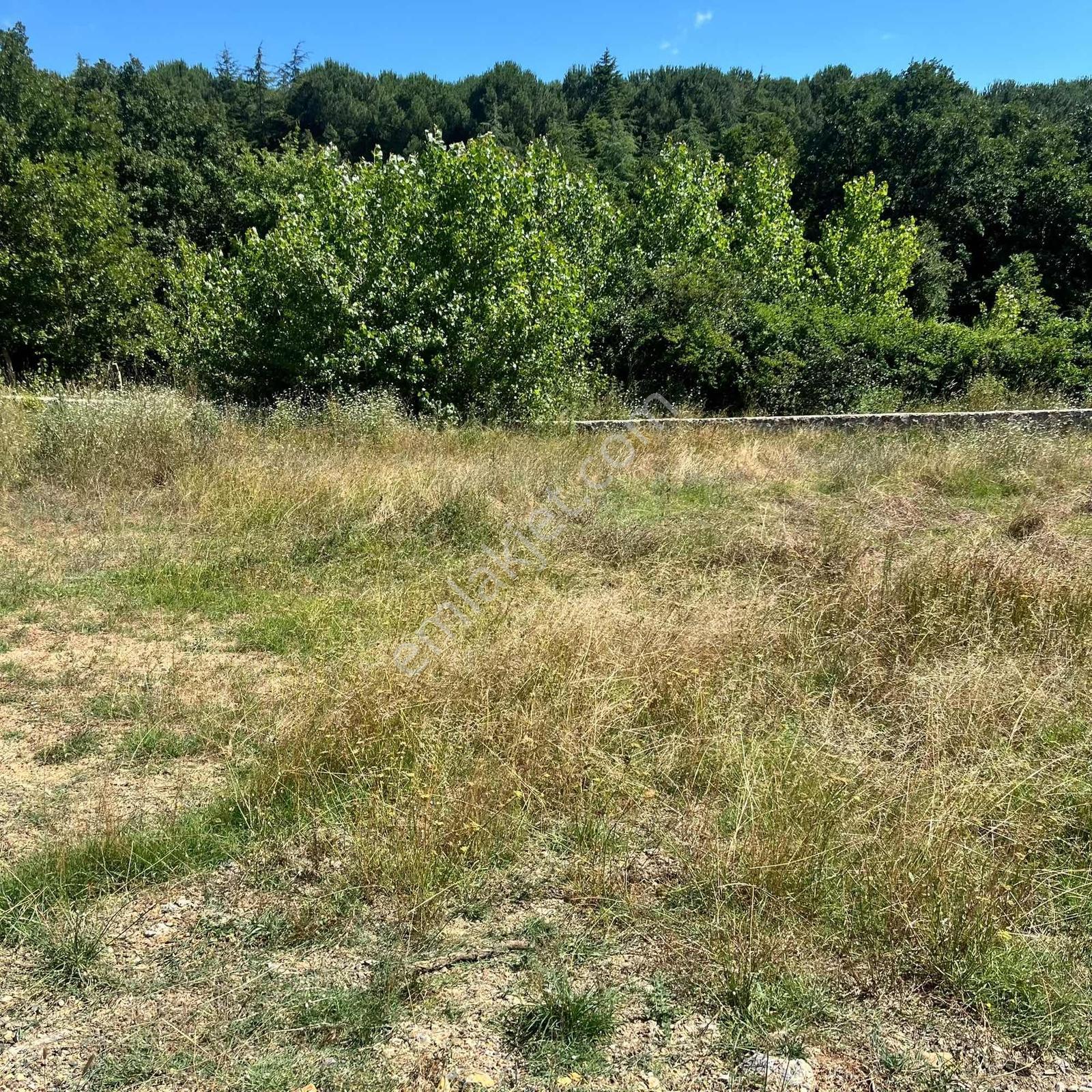 590 Mt Pendik Kurtdoğmuş Da Satılık Hisseli Yatırımlık Tarla — fotoğraf 5