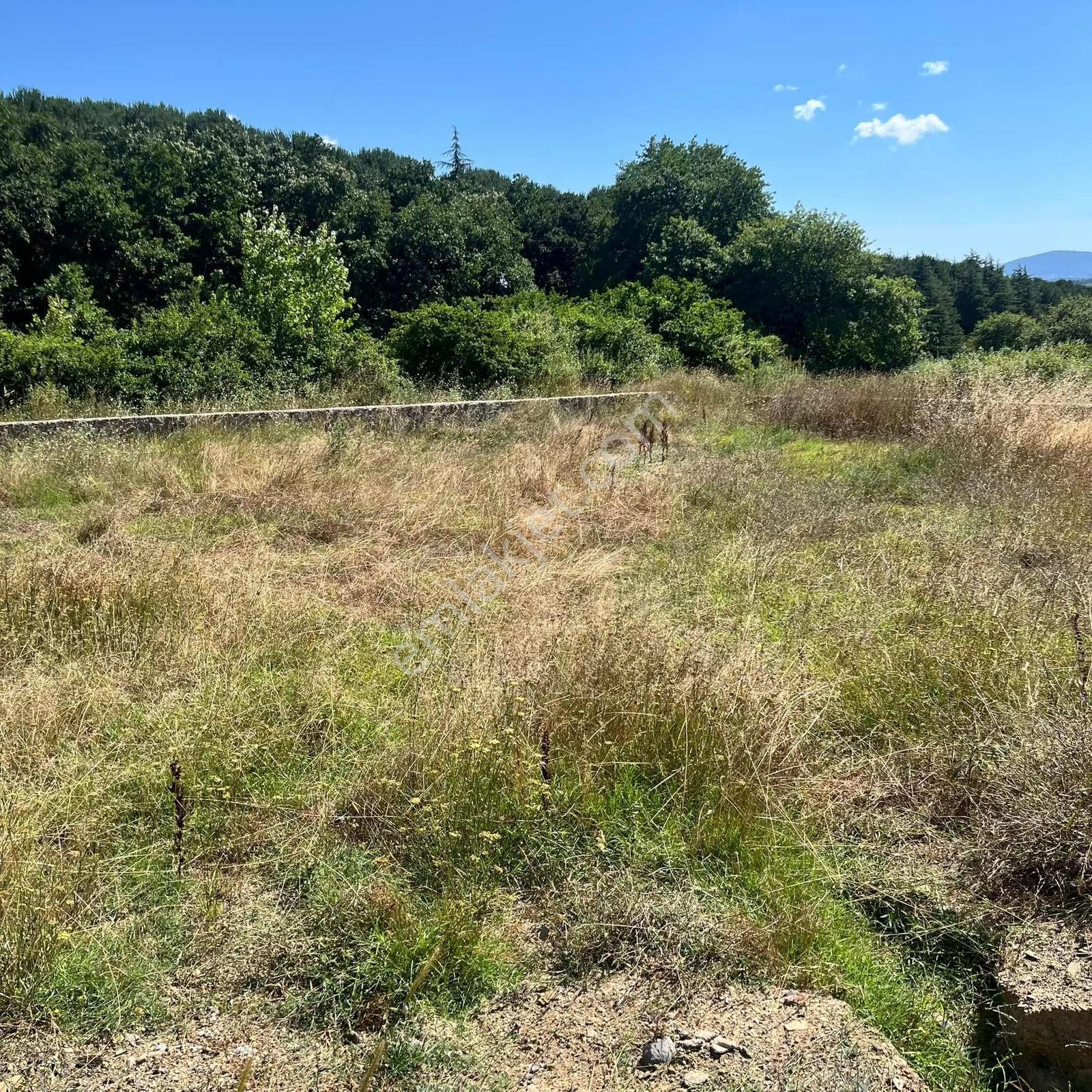 590 Mt Pendik Kurtdoğmuş Da Satılık Hisseli Yatırımlık Tarla — fotoğraf 6