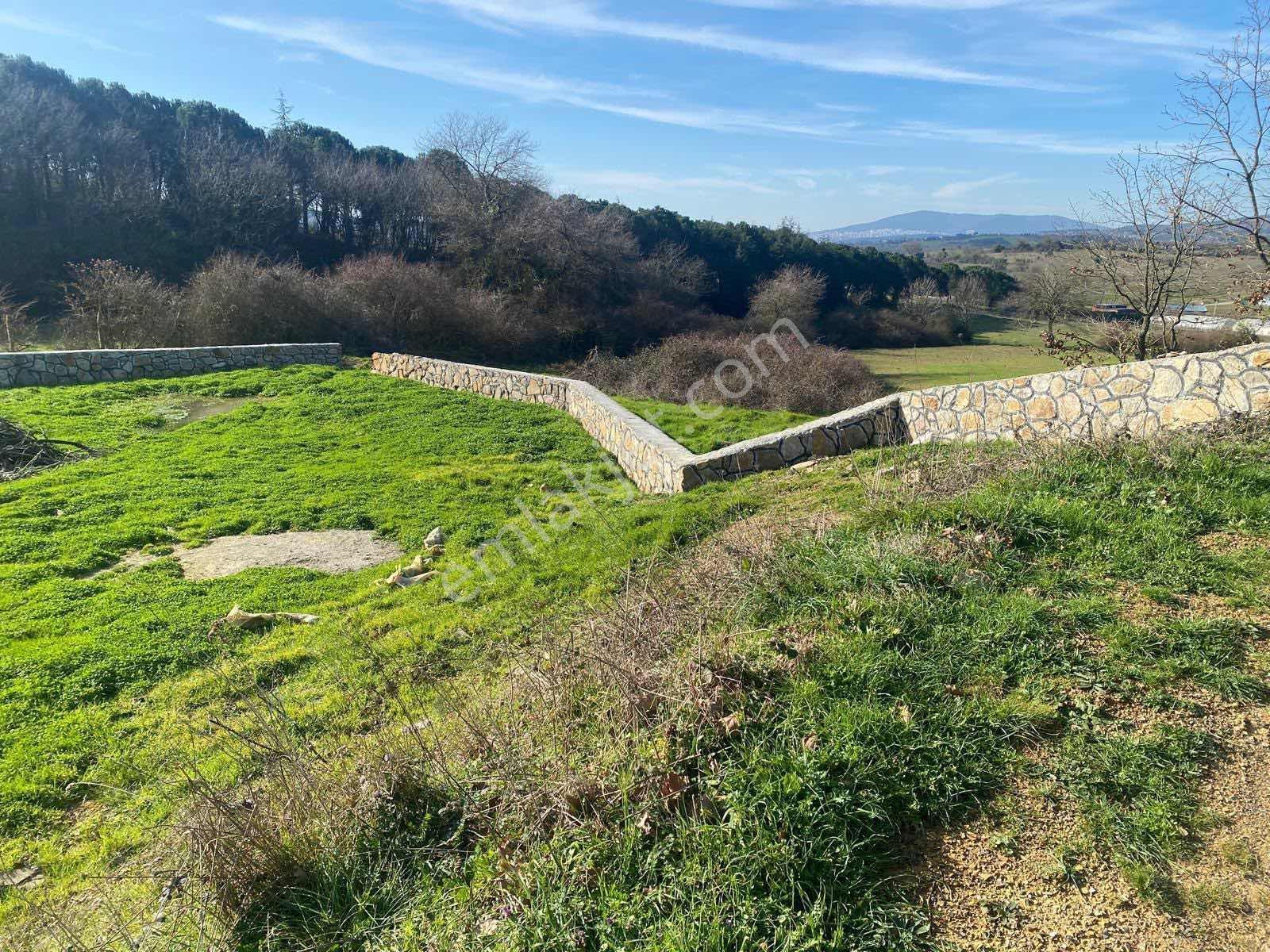 590 Mt Pendik Kurtdoğmuş Da Satılık Hisseli Yatırımlık Tarla — fotoğraf 8