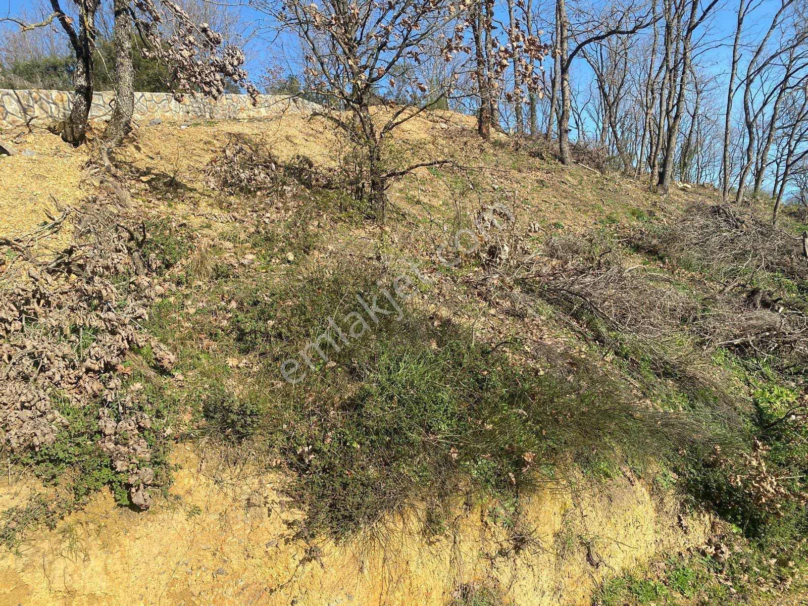 590 Mt Pendik Kurtdoğmuş Da Satılık Hisseli Yatırımlık Tarla — fotoğraf 9