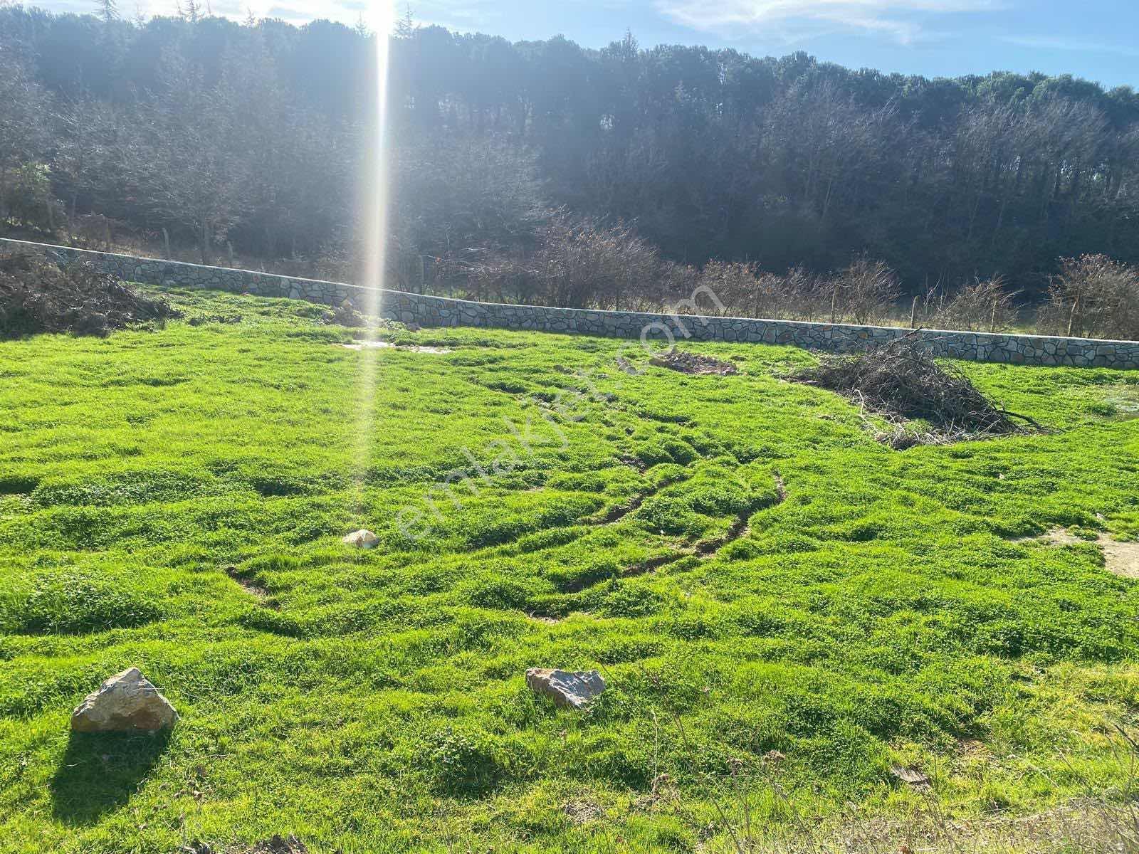 590 Mt Pendik Kurtdoğmuş Da Satılık Hisseli Yatırımlık Tarla — fotoğraf 10