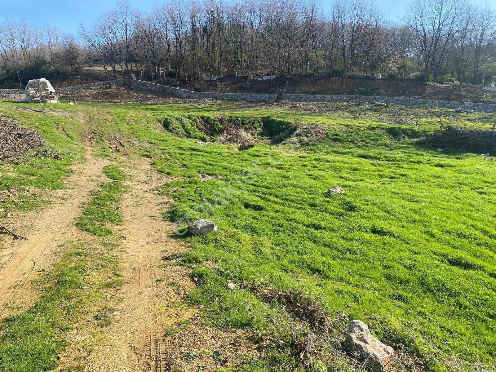 590 Mt Pendik Kurtdoğmuş Da Satılık Hisseli Yatırımlık Tarla — fotoğraf 11