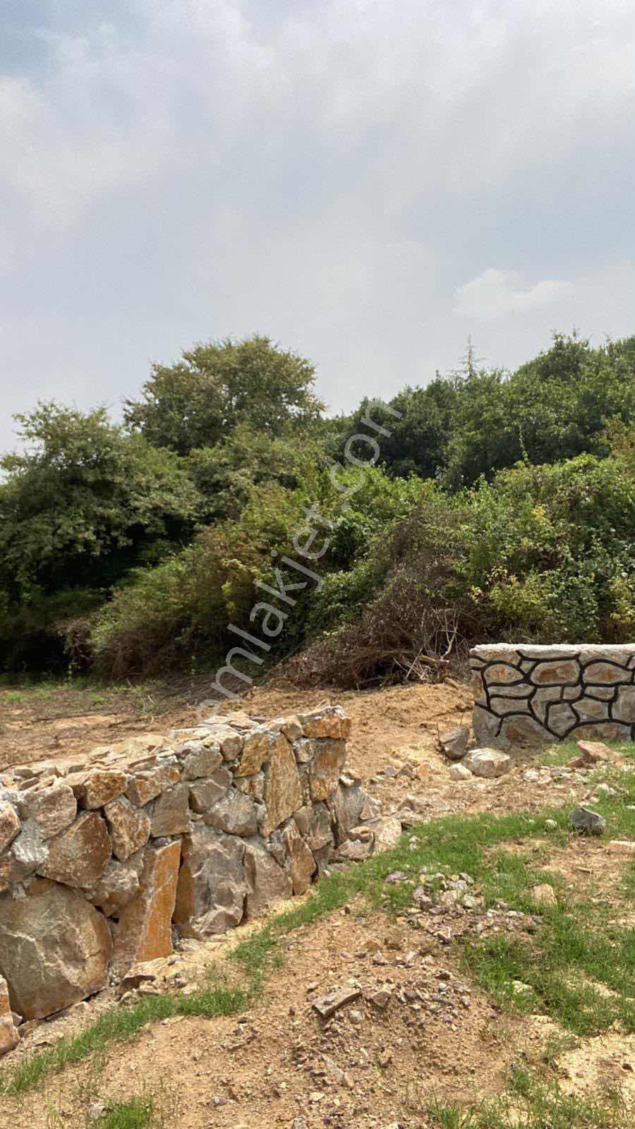590 Mt Pendik Kurtdoğmuş Da Satılık Hisseli Yatırımlık Tarla — fotoğraf 13