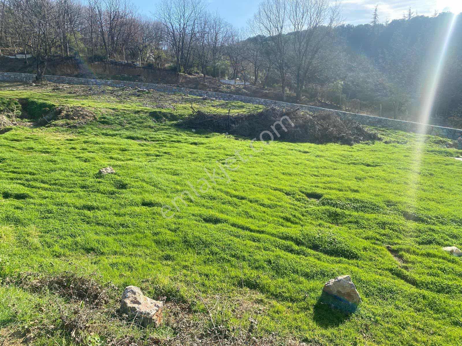 590 Mt Pendik Kurtdoğmuş Da Satılık Hisseli Yatırımlık Tarla — fotoğraf 15