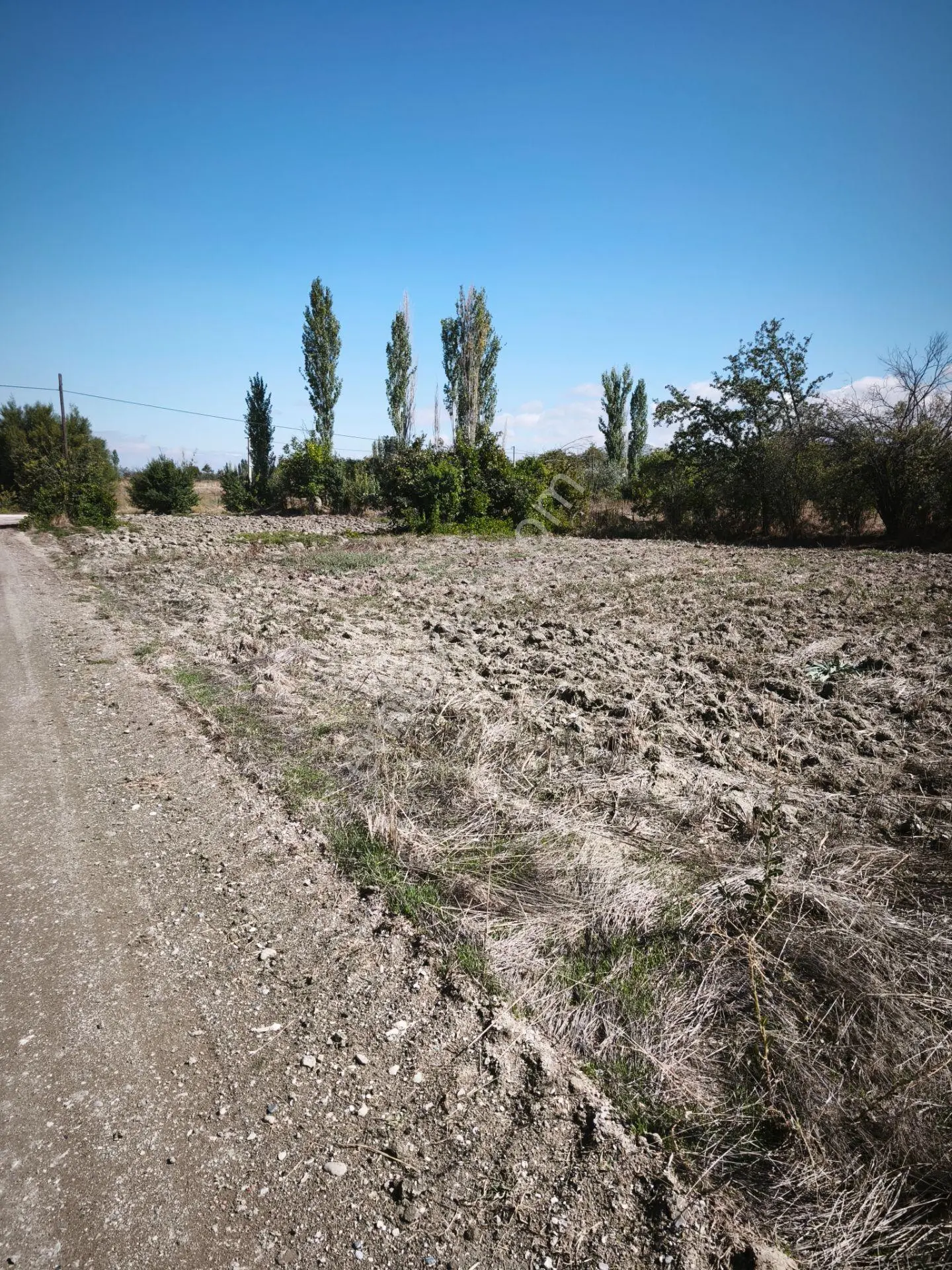 Burdur Hacılar Karayer’de Yola Cepheli 306,25 M² Sulak Tarla — fotoğraf 7