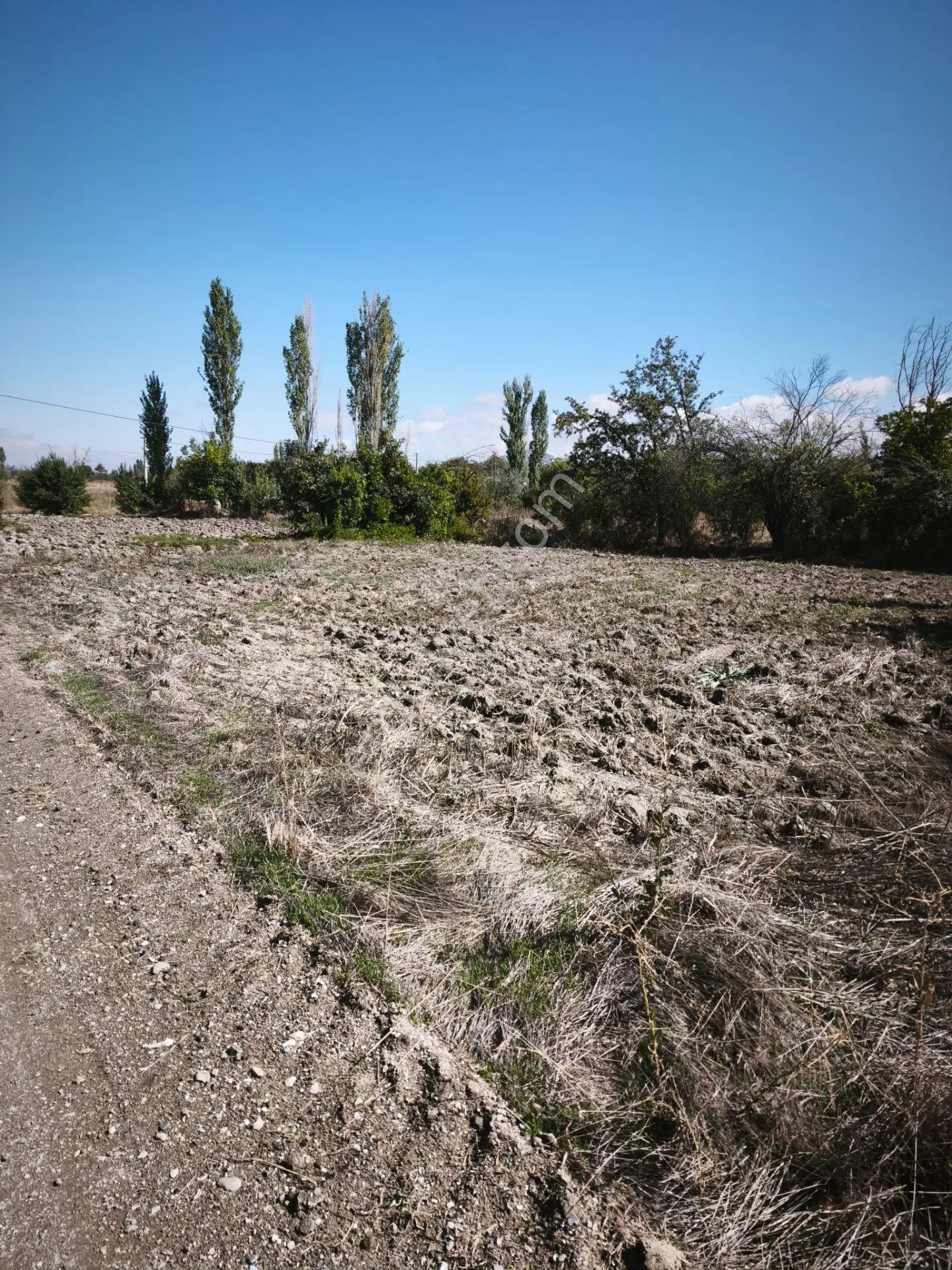 Burdur Hacılar Karayer’de Yola Cepheli 306,25 M² Sulak Tarla — fotoğraf 12