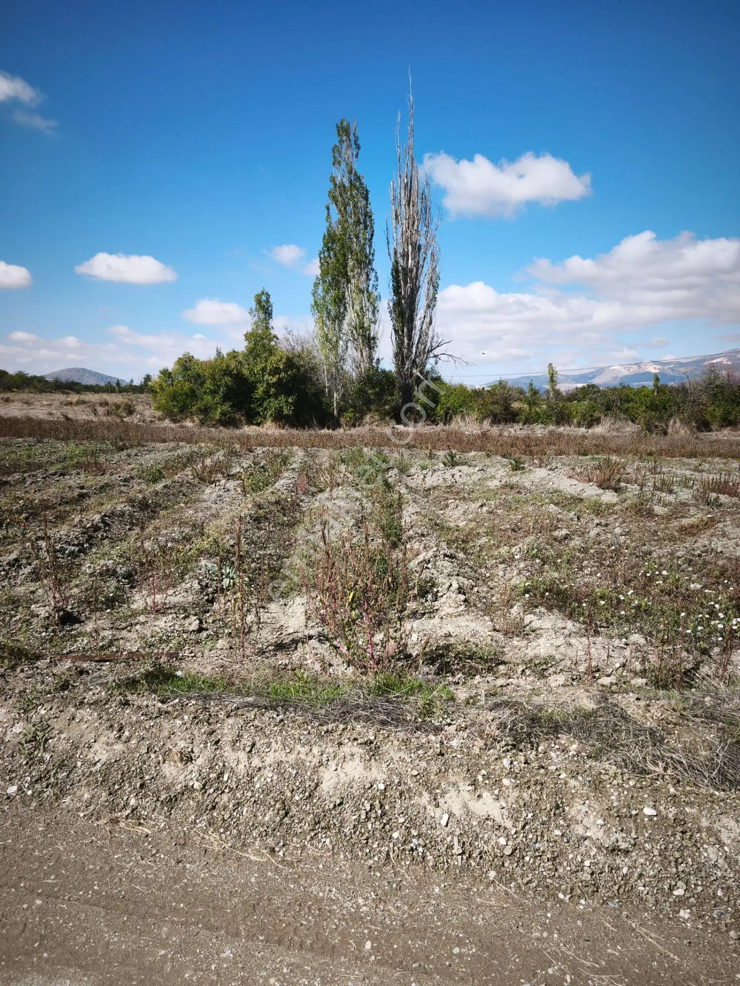 Burdur Hacılar Karayer’de Yola Cepheli 306,25 M² Sulak Tarla — fotoğraf 13