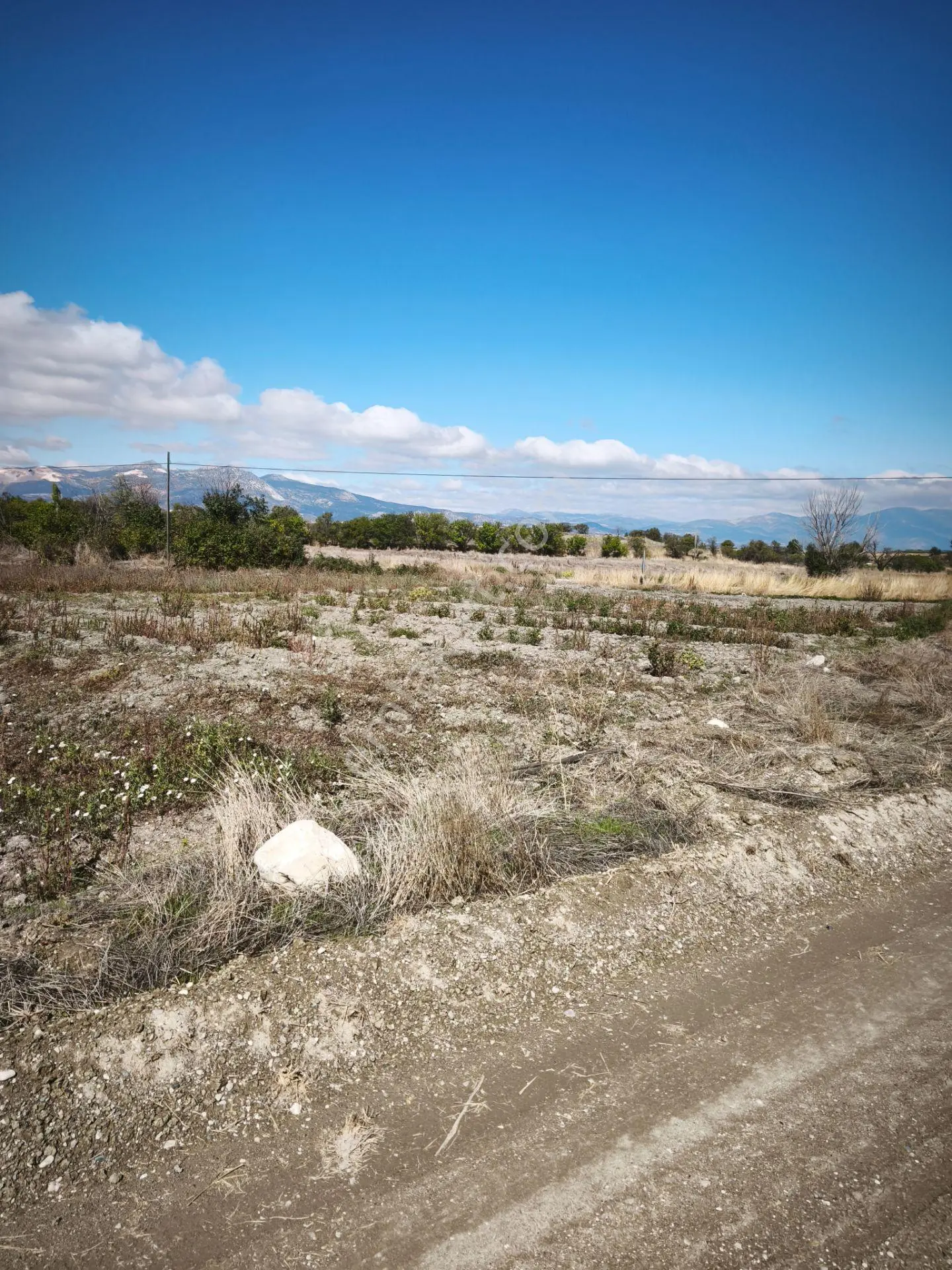 Burdur Hacılar Karayer’de Yola Cepheli 306,25 M² Sulak Tarla — fotoğraf 14