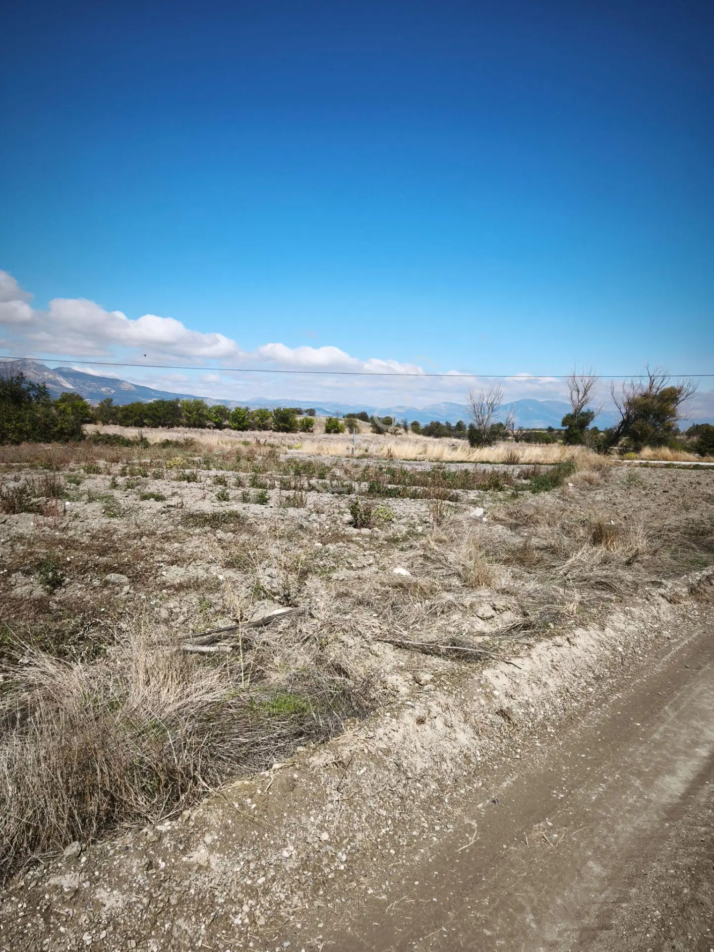 Burdur Hacılar Karayer’de Yola Cepheli 306,25 M² Sulak Tarla — fotoğraf 15