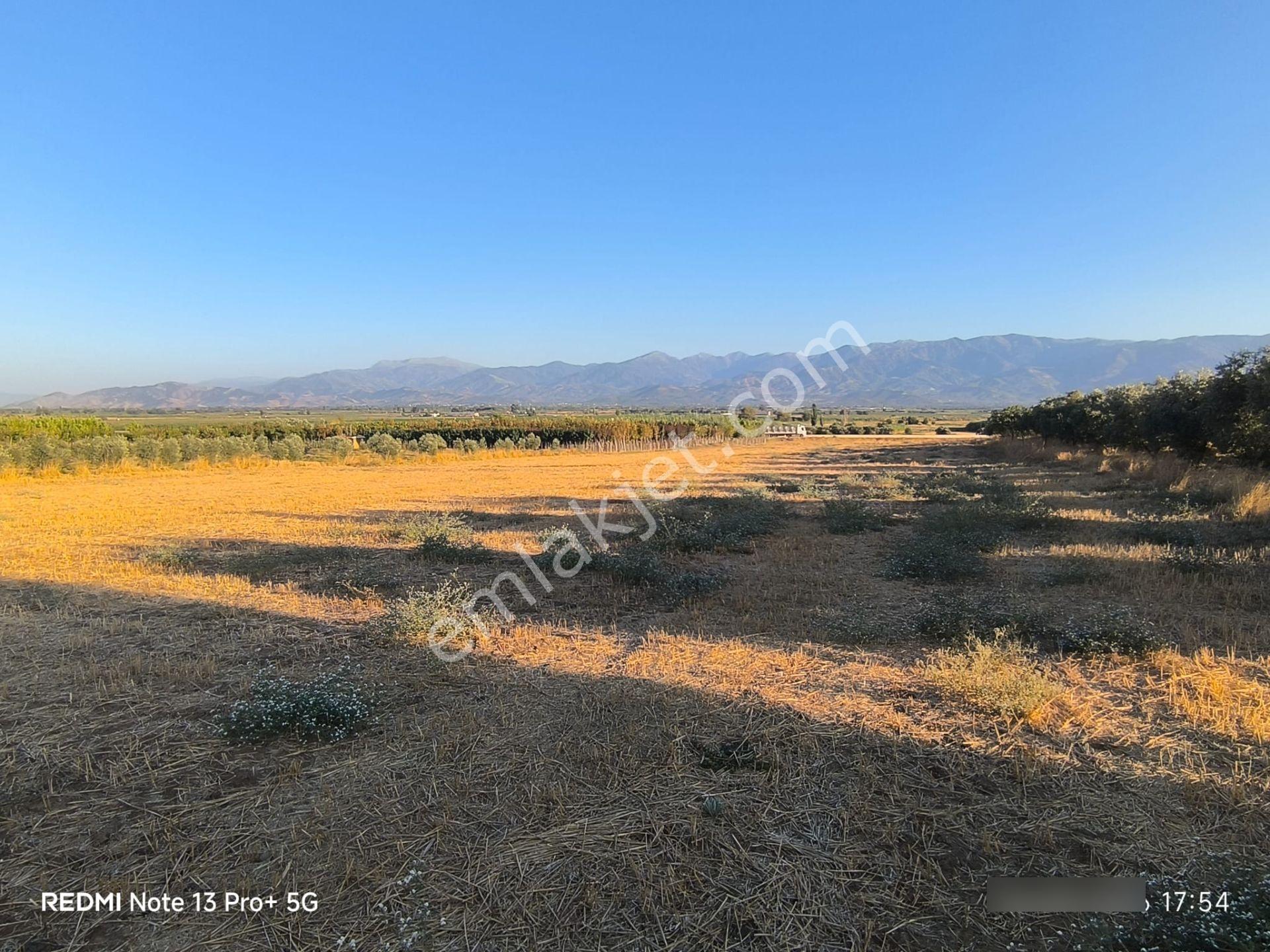 Tire Doyranlı'da Asfalt Kenarı, Yola 3. Parsel 2.000 M² Yatırımlık Tarla! — fotoğraf 2