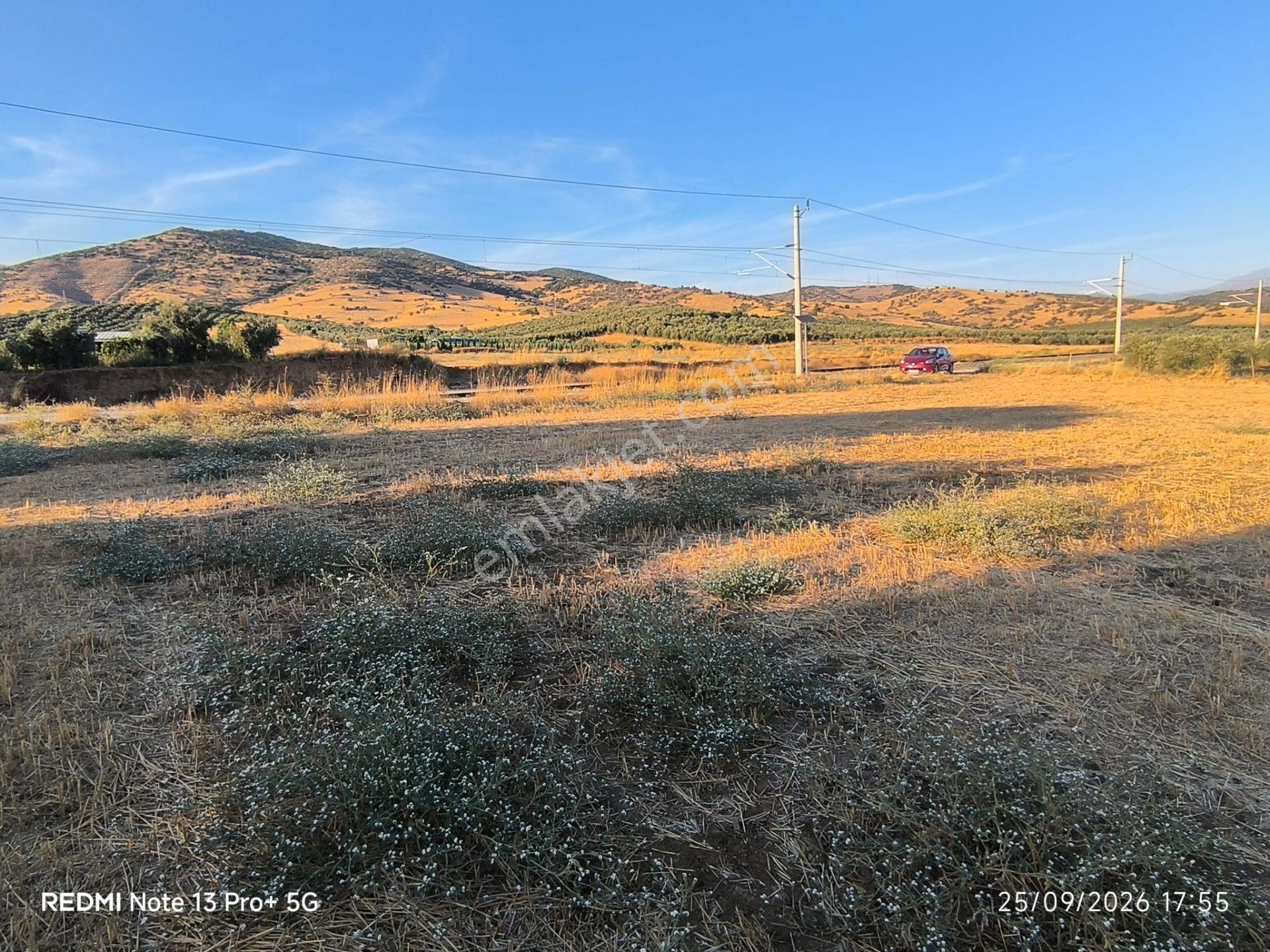 Tire Doyranlı'da Asfalt Kenarı, Yola 3. Parsel 2.000 M² Yatırımlık Tarla! — fotoğraf 3