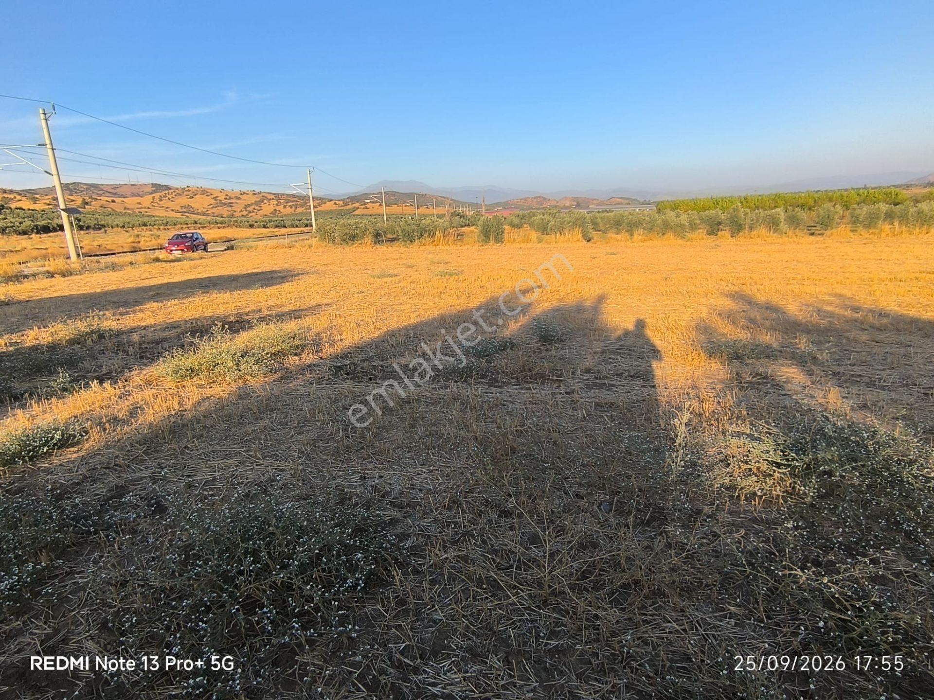 Tire Doyranlı'da Asfalt Kenarı, Yola 3. Parsel 2.000 M² Yatırımlık Tarla! — fotoğraf 4