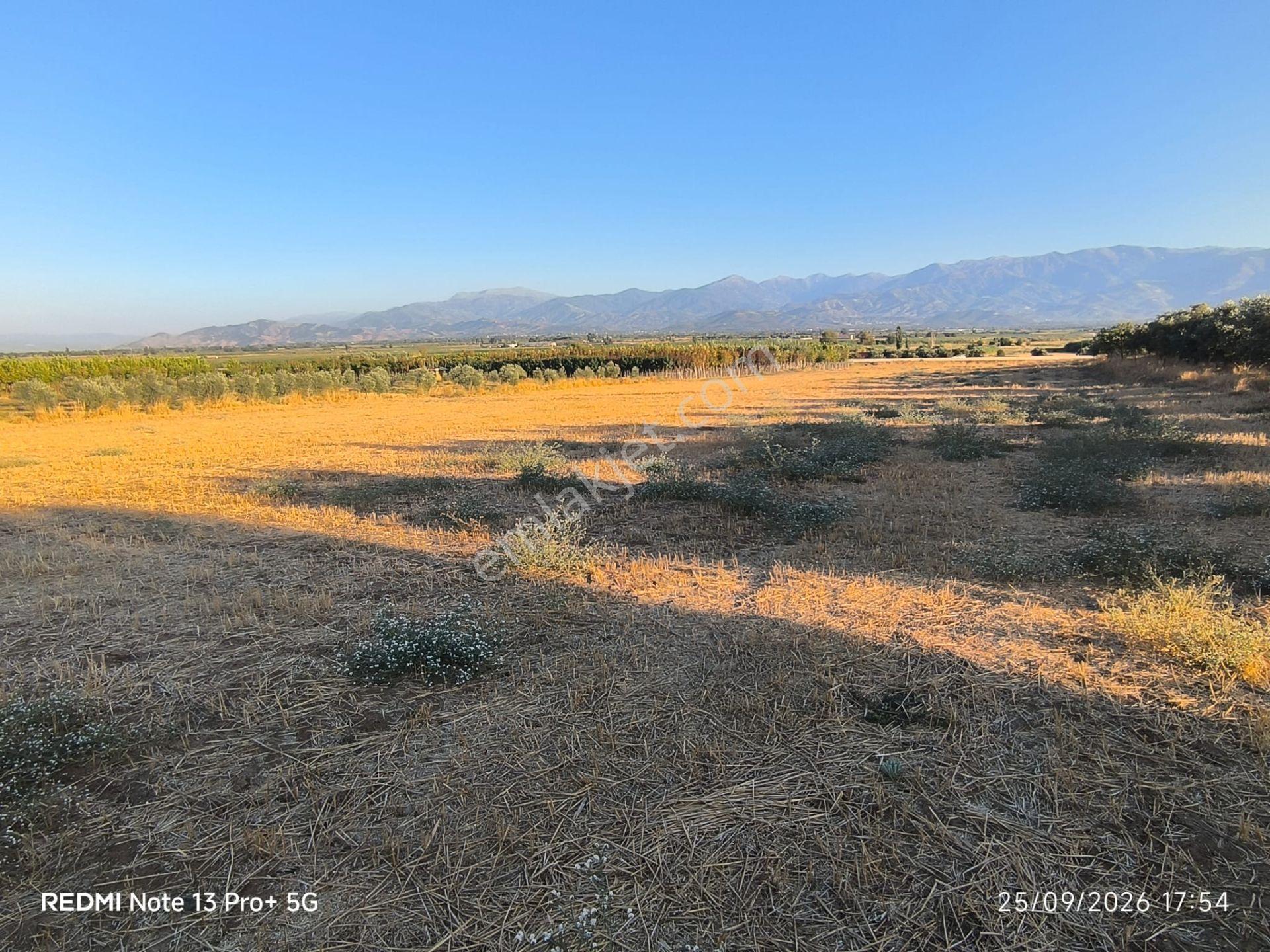 Tire Doyranlı'da Asfalt Kenarı, Yola 3. Parsel 2.000 M² Yatırımlık Tarla! — fotoğraf 5