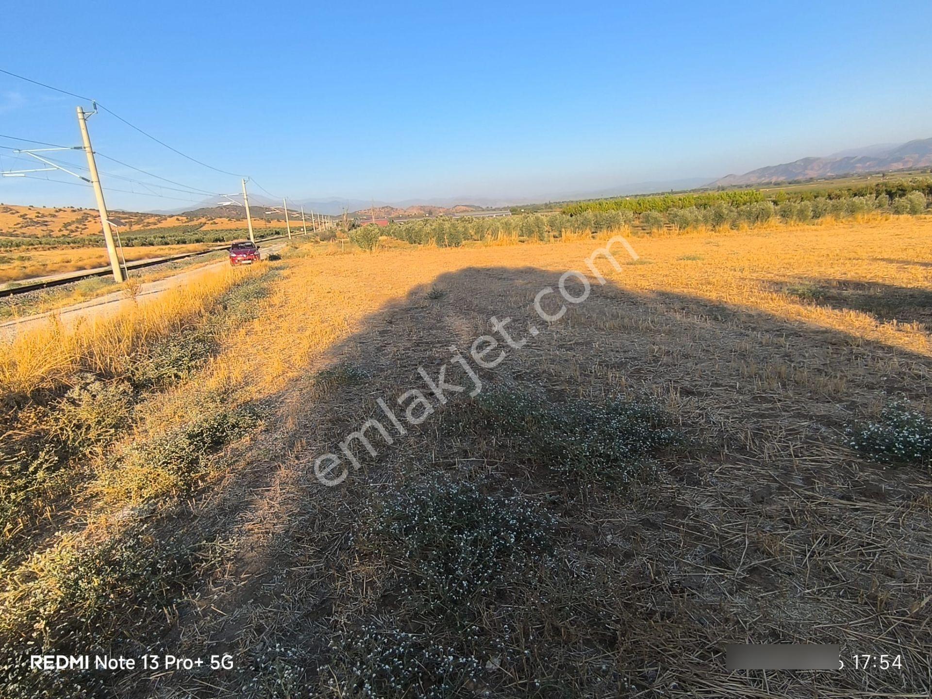 Tire Doyranlı'da Asfalt Kenarı, Yola 3. Parsel 2.000 M² Yatırımlık Tarla! — fotoğraf 6