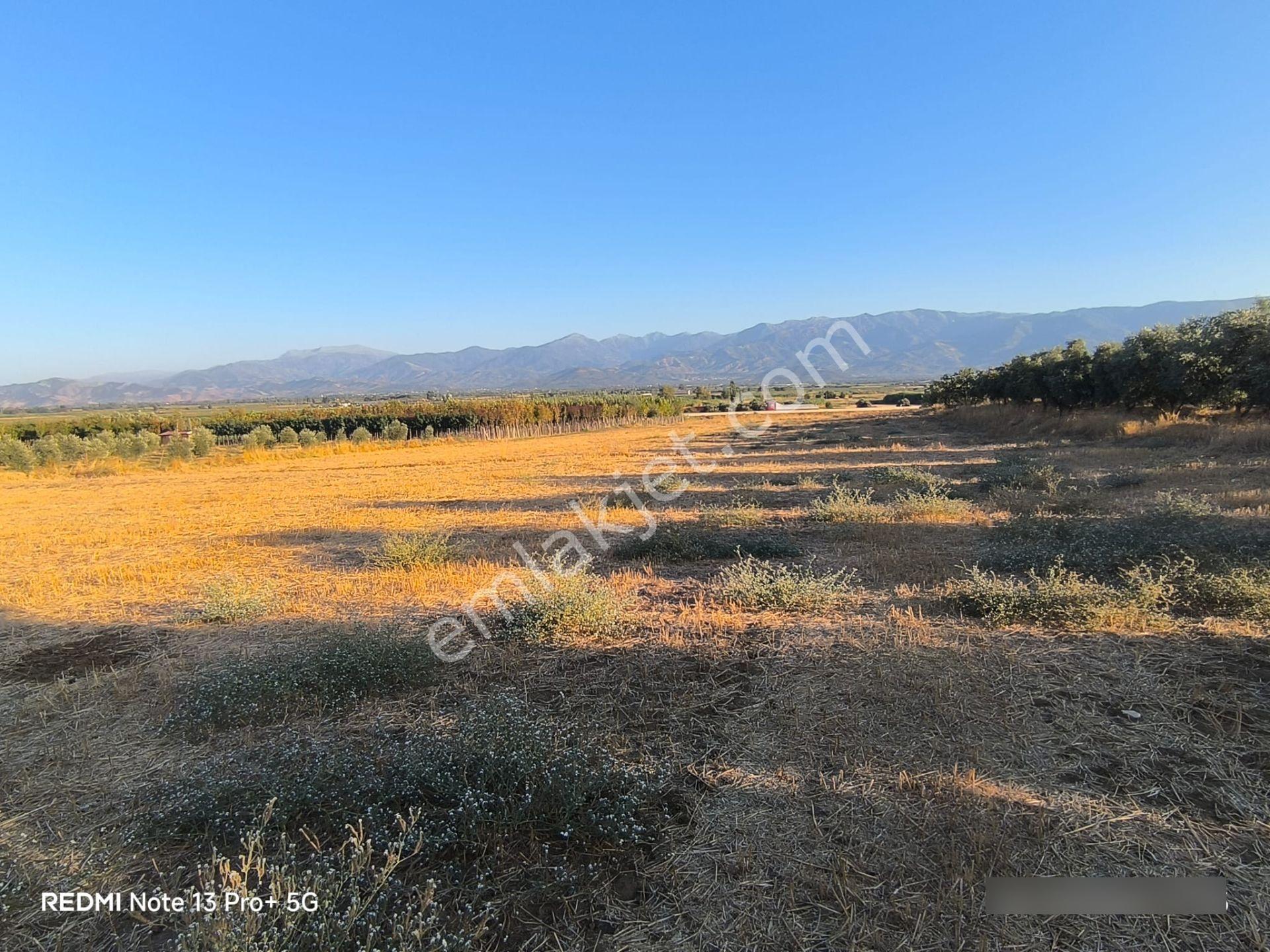 Tire Doyranlı'da Asfalt Kenarı, Yola 3. Parsel 2.000 M² Yatırımlık Tarla! — fotoğraf 7
