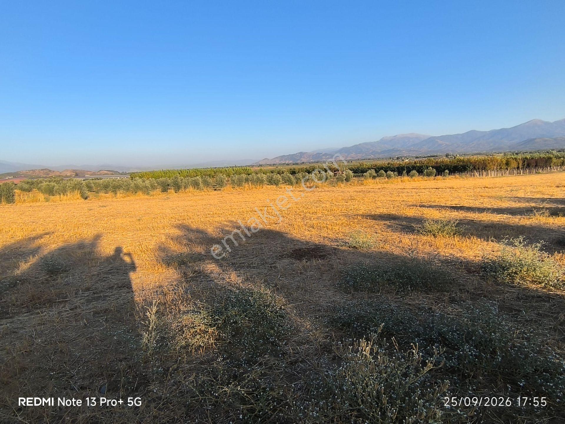 Tire Doyranlı'da Asfalt Kenarı, Yola 3. Parsel 2.000 M² Yatırımlık Tarla! — fotoğraf 8