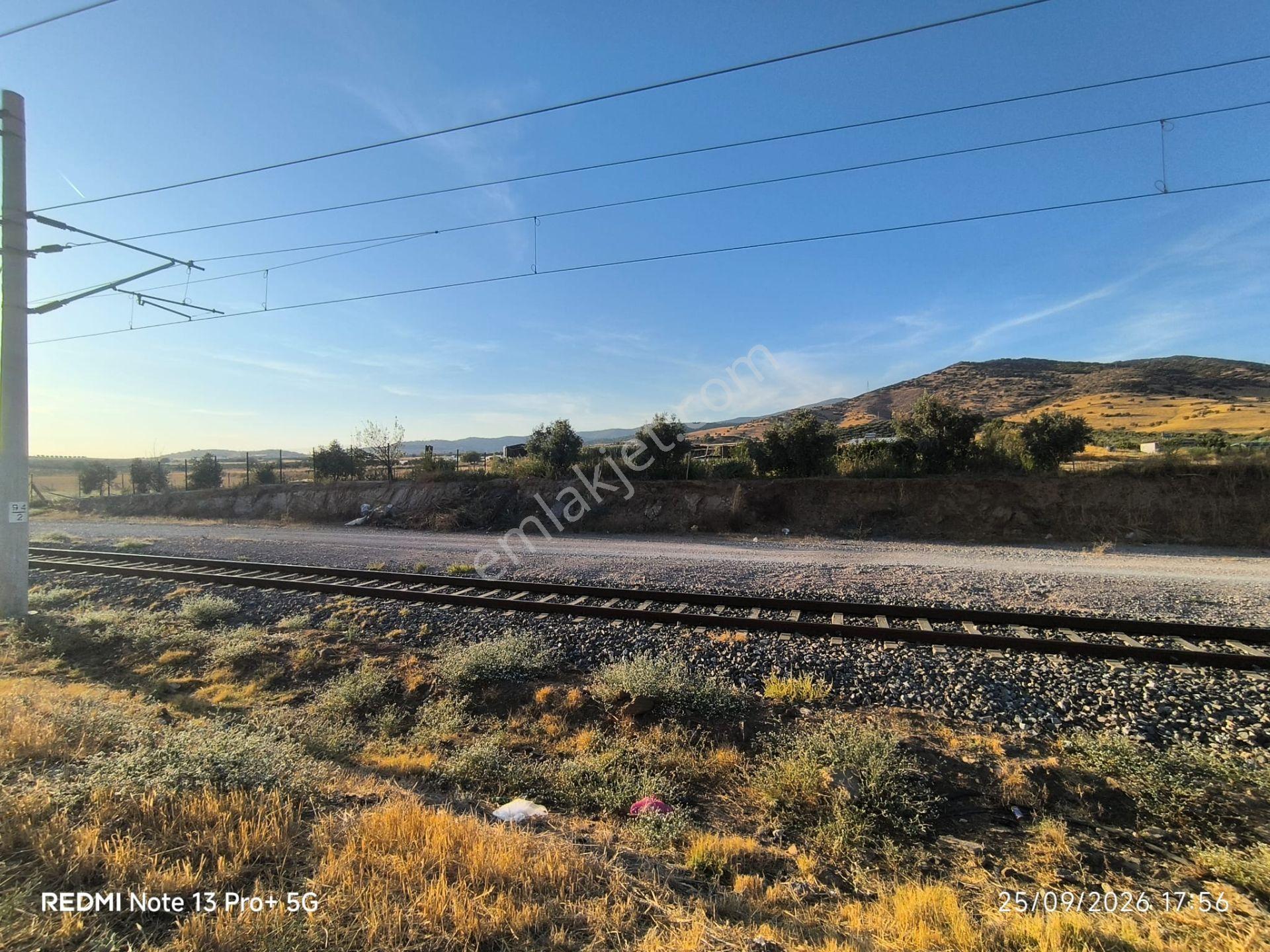 Tire Doyranlı'da Asfalt Kenarı, Yola 3. Parsel 2.000 M² Yatırımlık Tarla! — fotoğraf 10