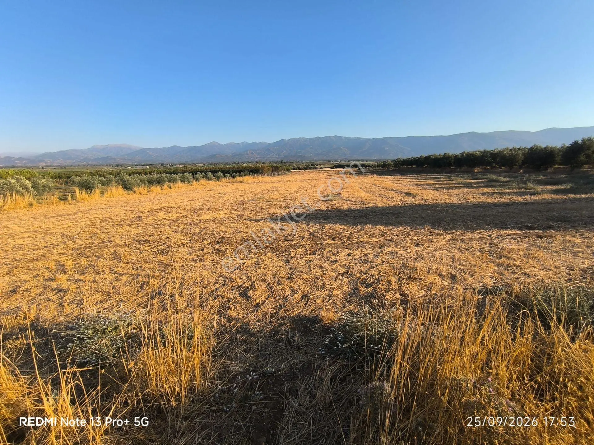 Tire Doyranlı'da Asfalt Kenarı, Yola 3. Parsel 2.000 M² Yatırımlık Tarla! — fotoğraf 15