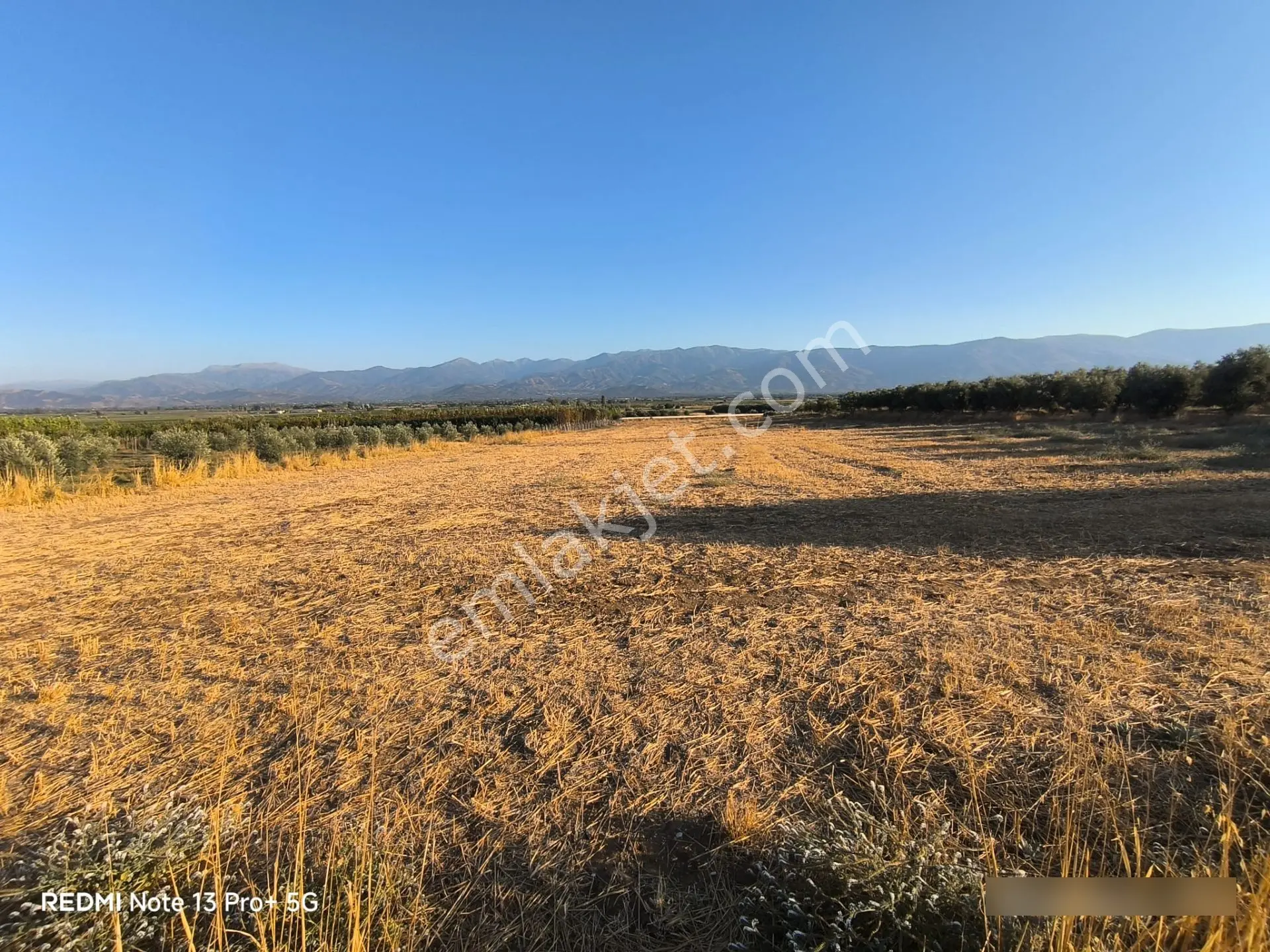 Tire Doyranlı'da Asfalt Kenarı, Yola 3. Parsel 2.000 M² Yatırımlık Tarla! — fotoğraf 16