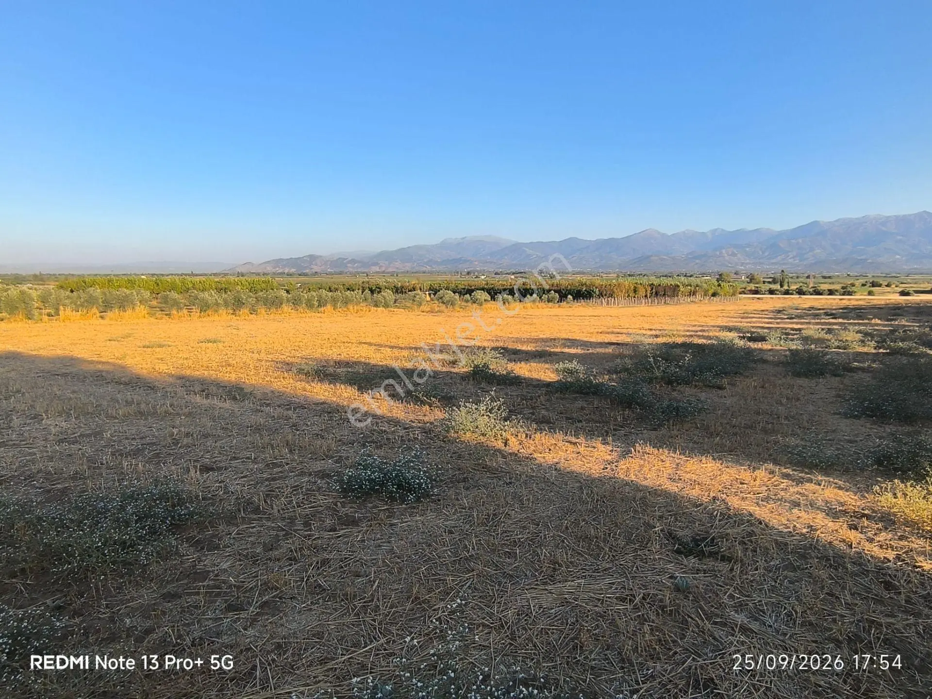 Tire Doyranlı'da Asfalt Kenarı, Yola 3. Parsel 2.000 M² Yatırımlık Tarla! — fotoğraf 17