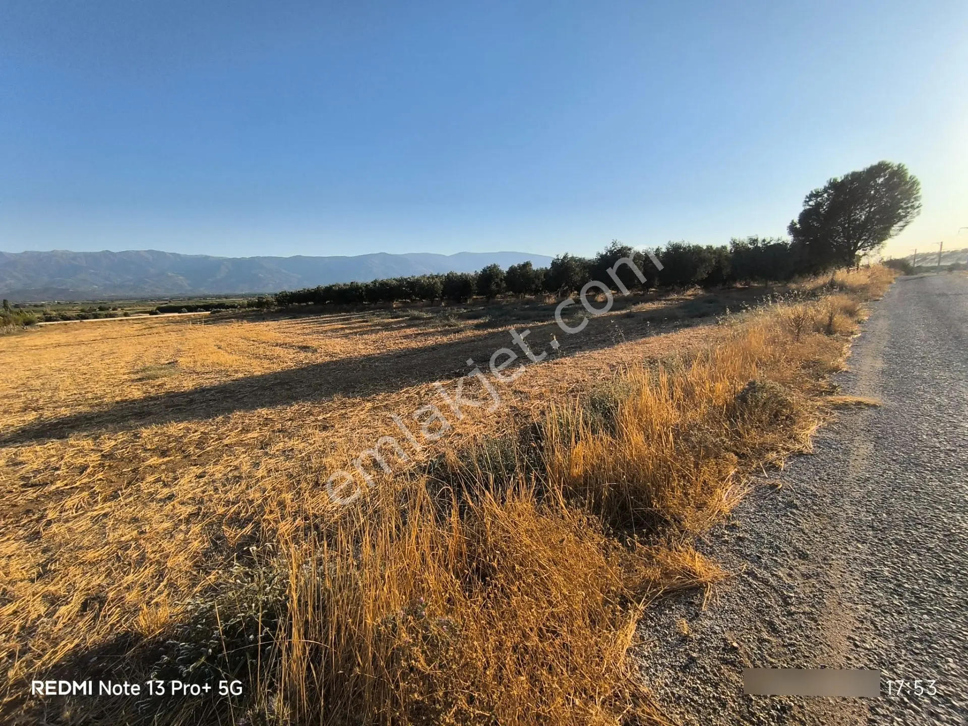 Tire Doyranlı'da Asfalt Kenarı, Yola 3. Parsel 2.000 M² Yatırımlık Tarla! — fotoğraf 18