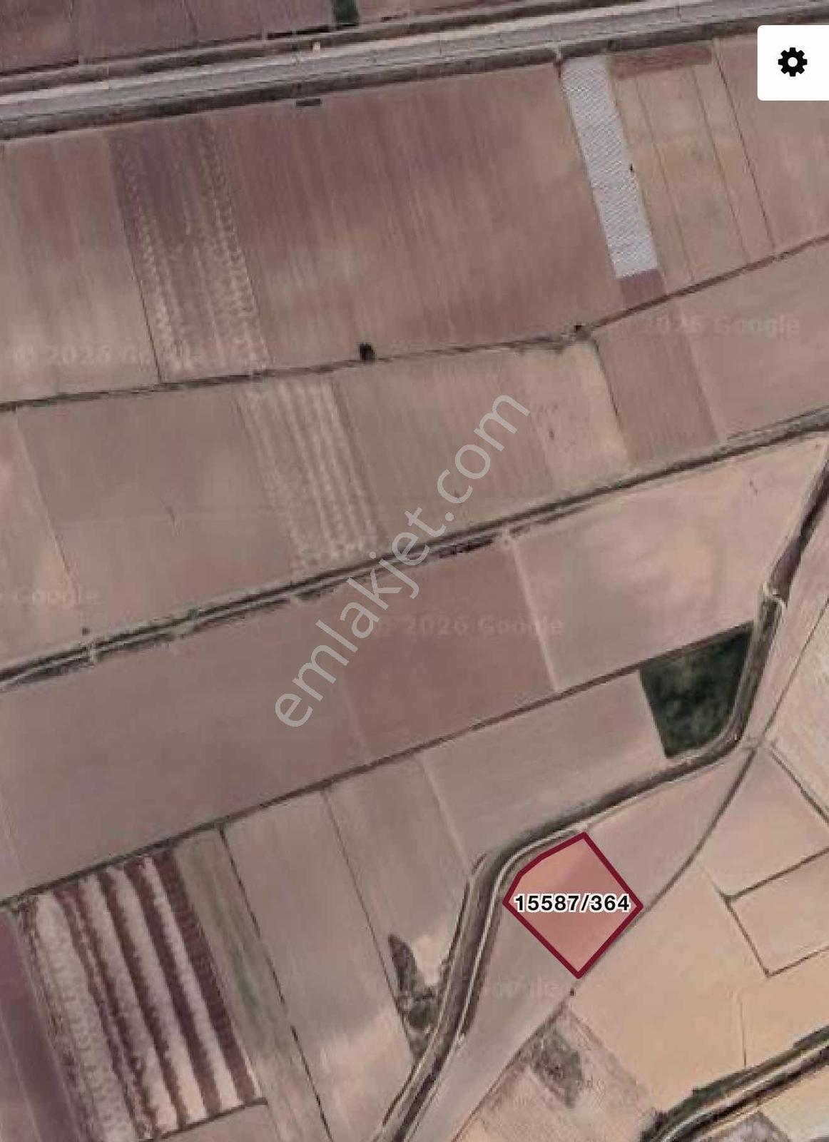 As-sevinç Köyünde Yola Yakın Sulak Fırsat Tarla Ev Takaslı — fotoğraf 2